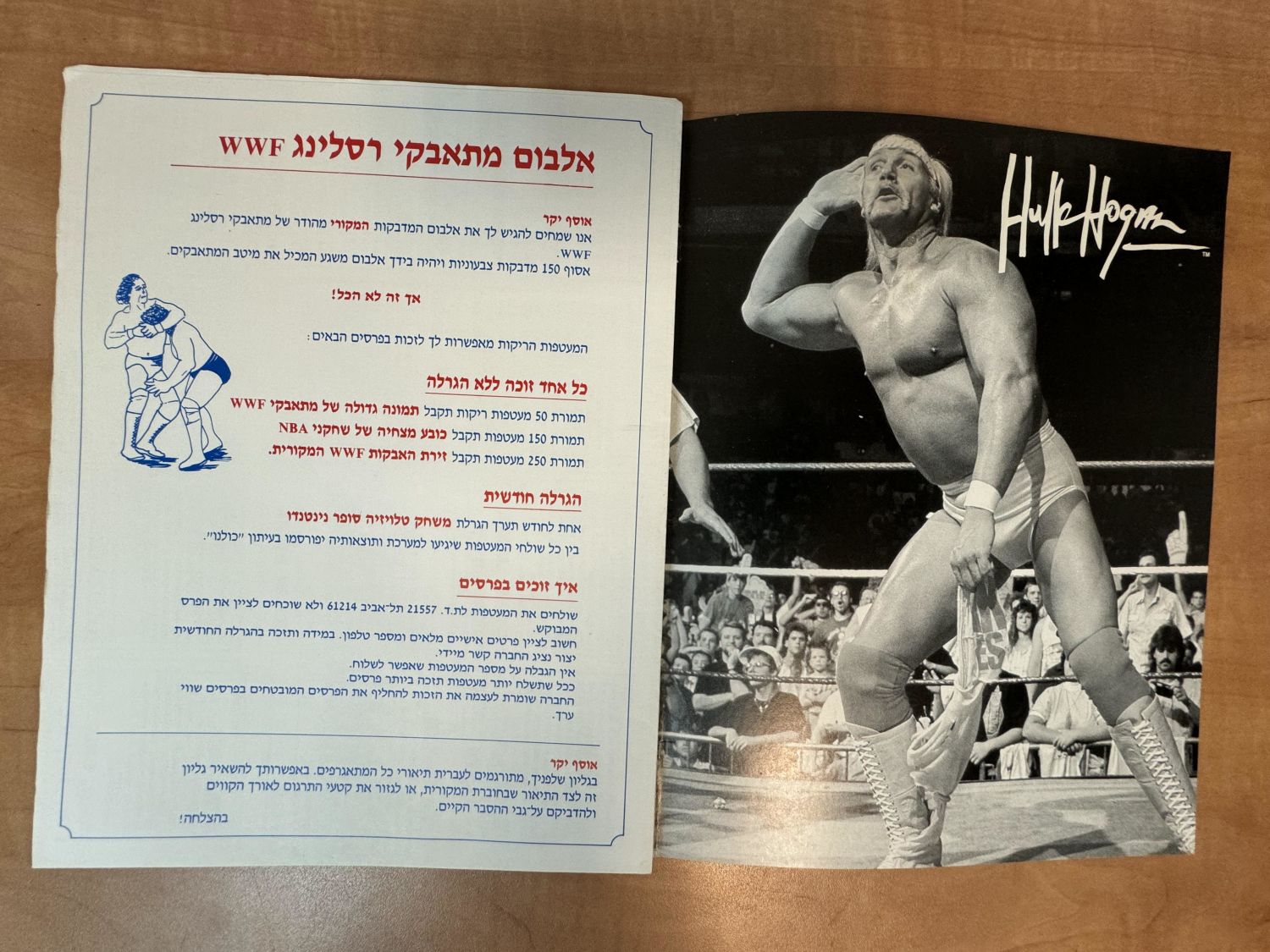 אלבומי מדבקות - אלבום מדבקות "אלבום מתאבקי רסלינג WWF" באנגלית עם עמודת אמצע בעברית - נדיר מאוד, ריק ובמצב ... - 1 7