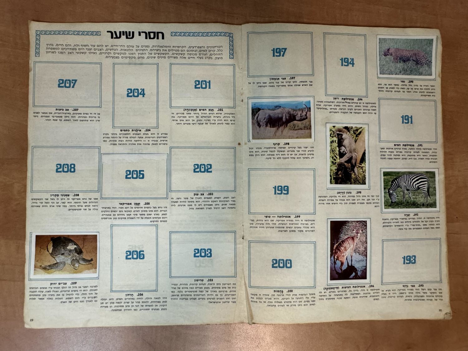 אלבומי מדבקות - אלבום מדבקות "עולם החיות, אלבום תמונות בצבעים", שנות השבעים, מצב בינוני, מלא חלקית - נדיר מאוד - 1 4