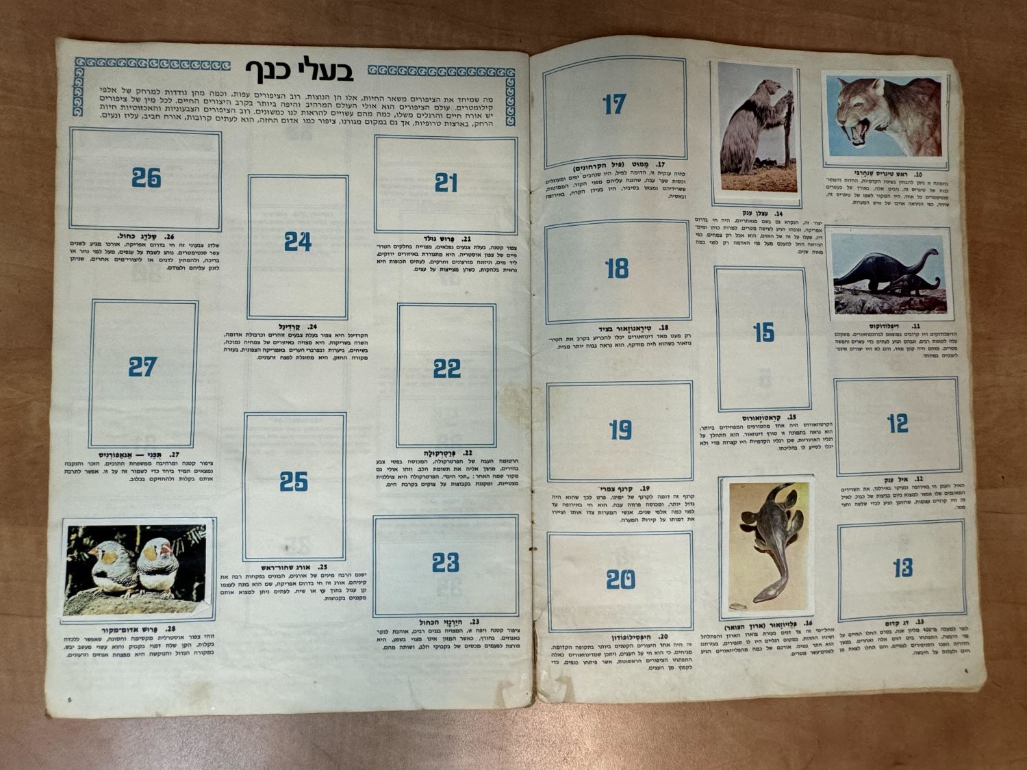 אלבומי מדבקות - אלבום מדבקות "עולם החיות, אלבום תמונות בצבעים", שנות השבעים, מצב בינוני, מלא חלקית - נדיר מאוד - 1 16