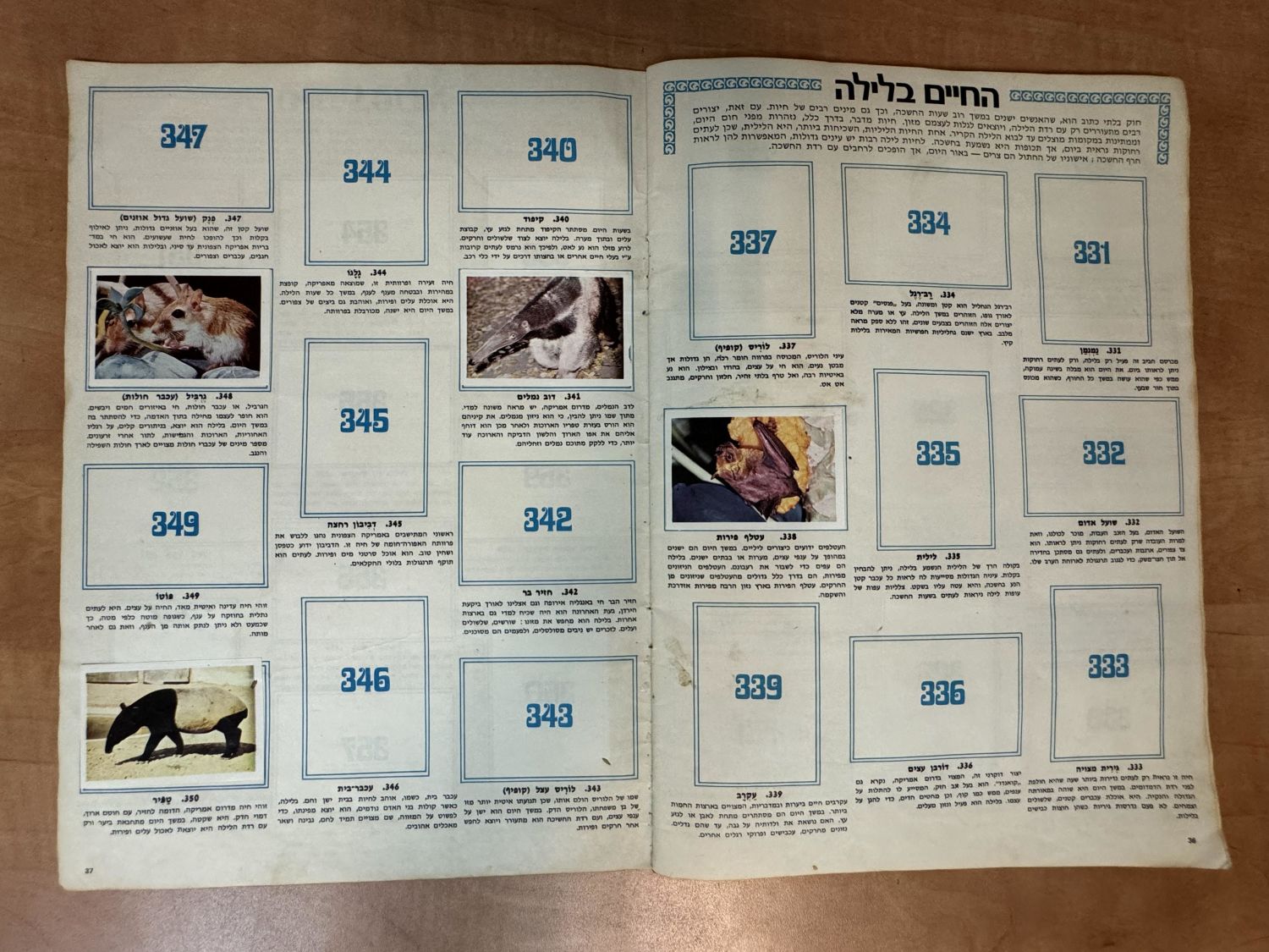 אלבומי מדבקות - אלבום מדבקות "עולם החיות, אלבום תמונות בצבעים", שנות השבעים, מצב בינוני, מלא חלקית - נדיר מאוד - 1 12