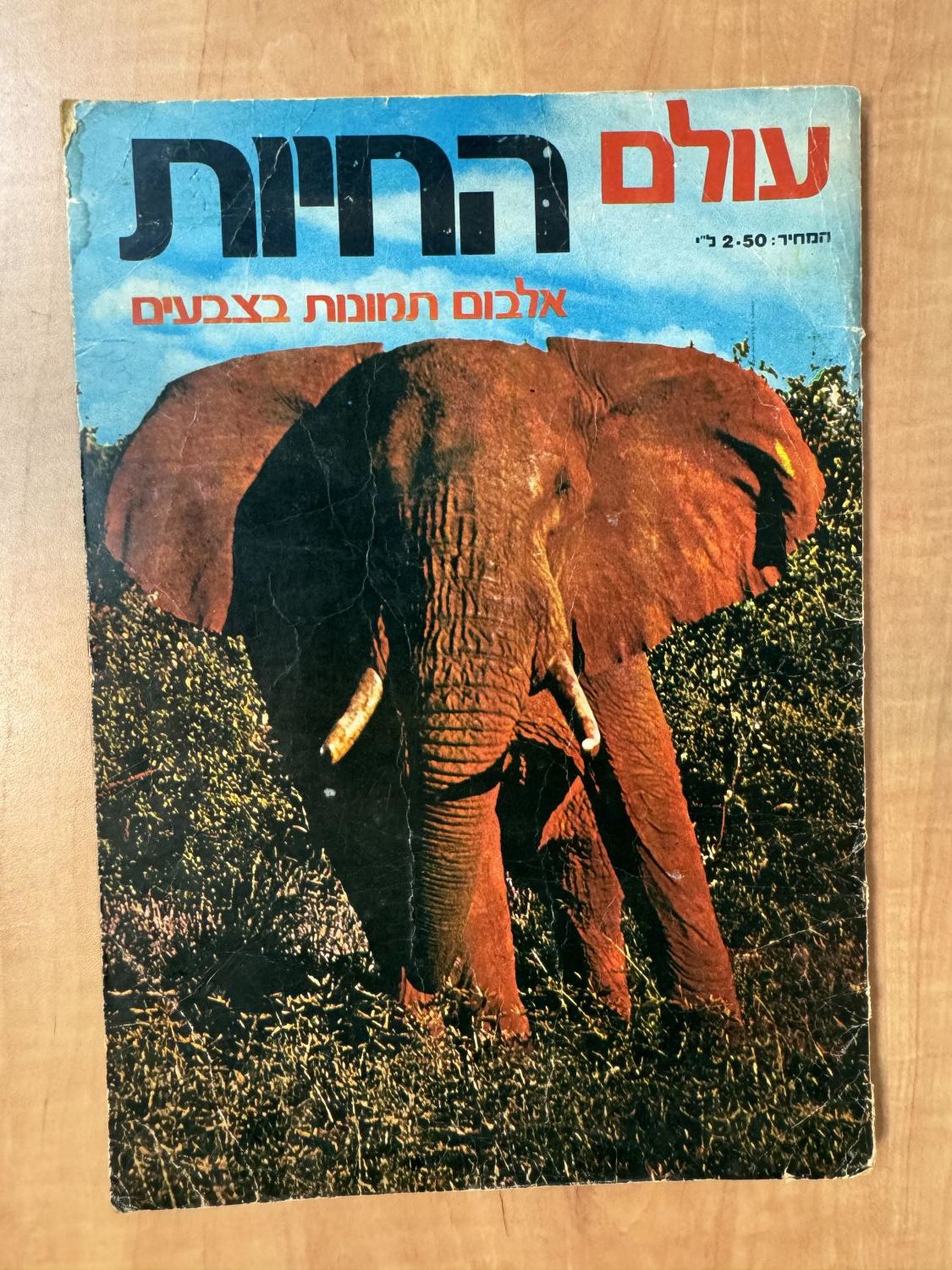 אלבומי מדבקות - אלבום מדבקות "עולם החיות, אלבום תמונות בצבעים", שנות השבעים, מצב בינוני, מלא חלקית - נדיר מאוד - 1 0