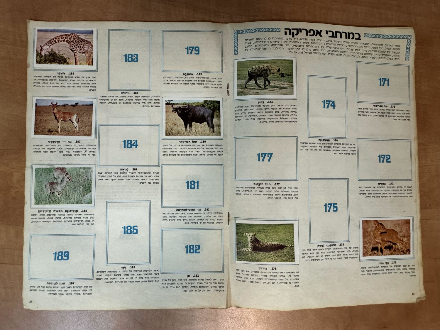 אלבומי מדבקות - אלבום מדבקות "עולם החיות, אלבום תמונות בצבעים", שנות השבעים, מצב בינוני, מלא חלקית - נדיר מאוד - 1 3