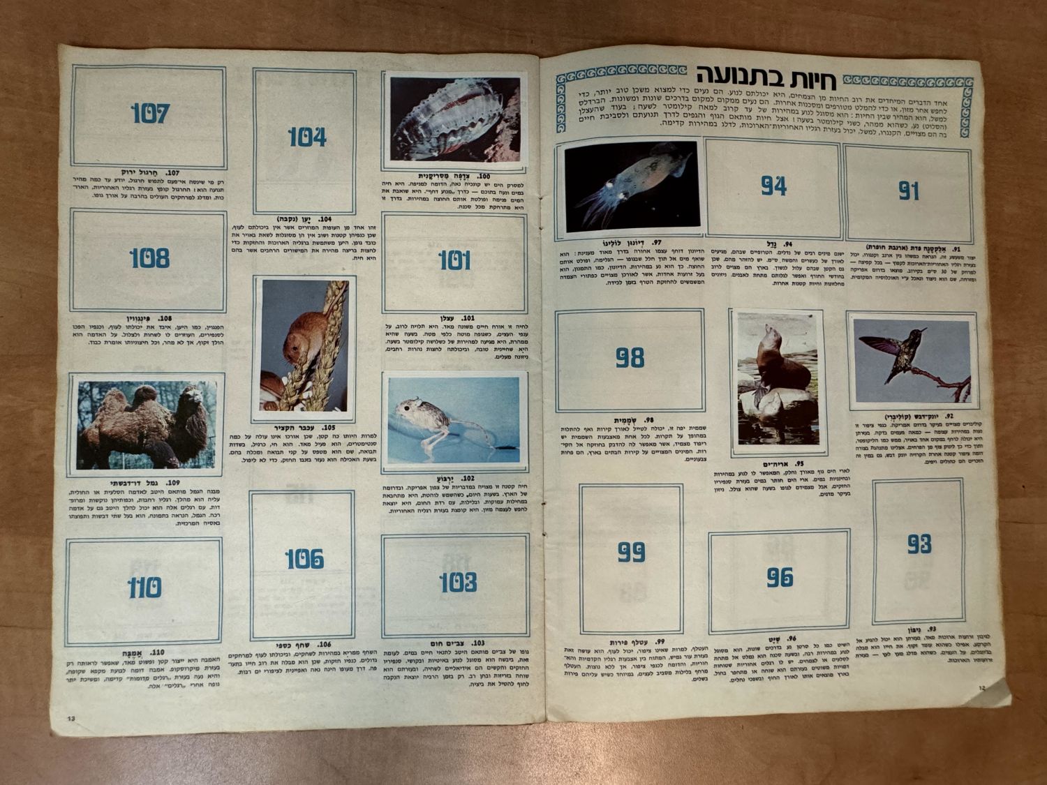 אלבומי מדבקות - אלבום מדבקות "עולם החיות, אלבום תמונות בצבעים", שנות השבעים, מצב בינוני, מלא חלקית - נדיר מאוד - 1 20
