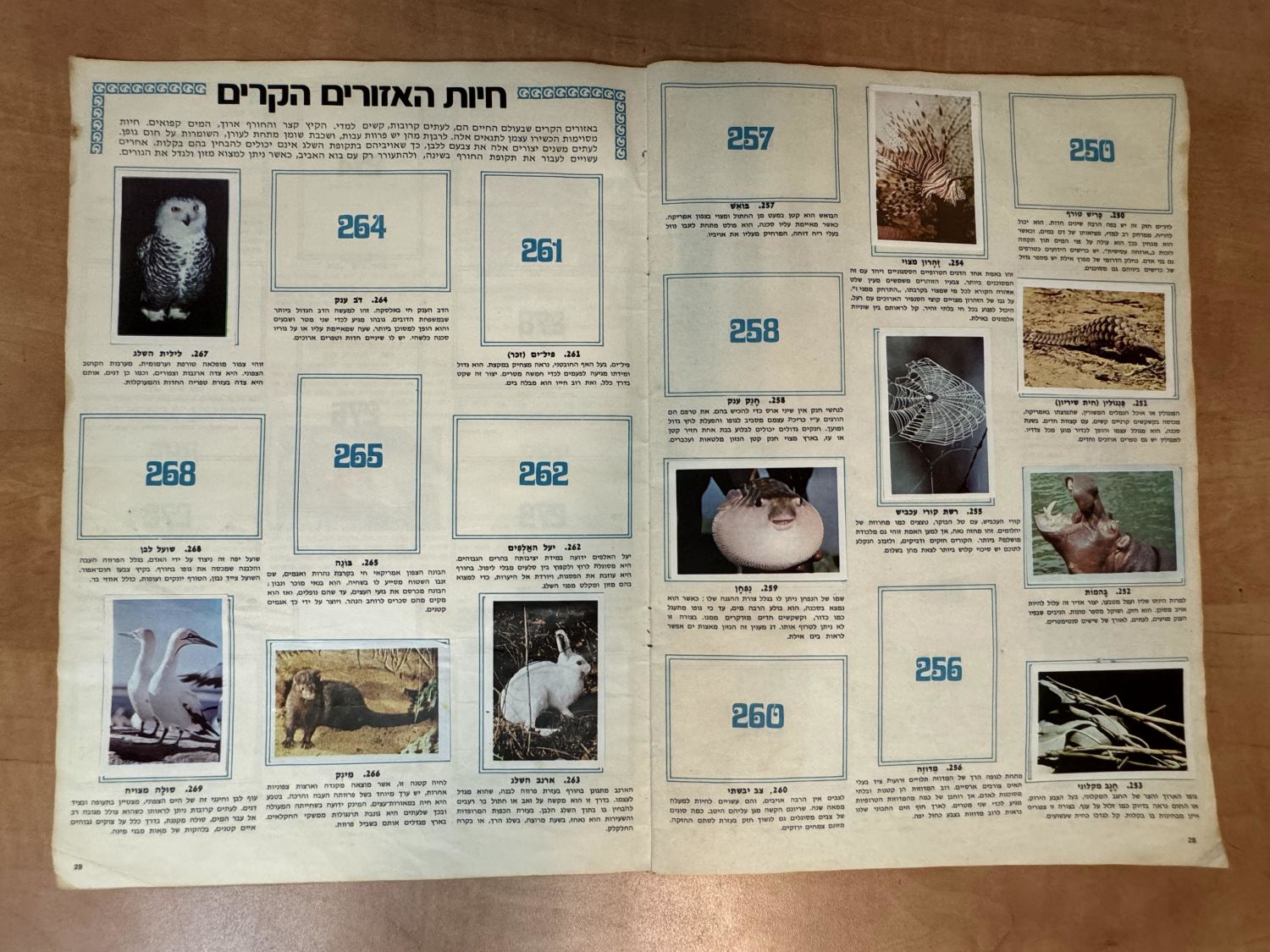 אלבומי מדבקות - אלבום מדבקות "עולם החיות, אלבום תמונות בצבעים", שנות השבעים, מצב בינוני, מלא חלקית - נדיר מאוד - 1 7