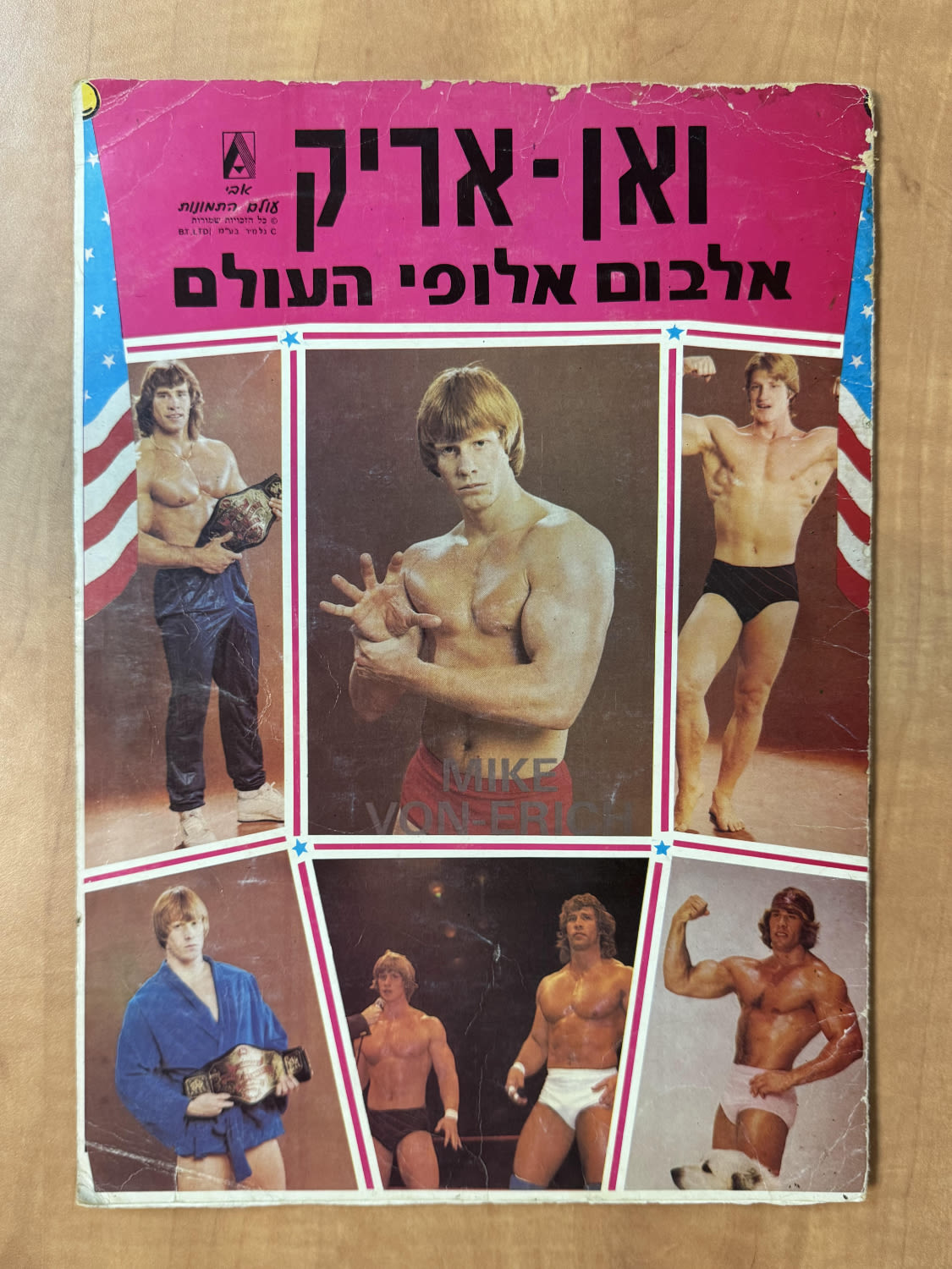 אלבומי מדבוקת - אלבום מדבקות "ואן אריק אלבום אלופי העולם", כמעט מלא (196/200), מצב בינוני- טוב - אלבום לא ... - 1 0