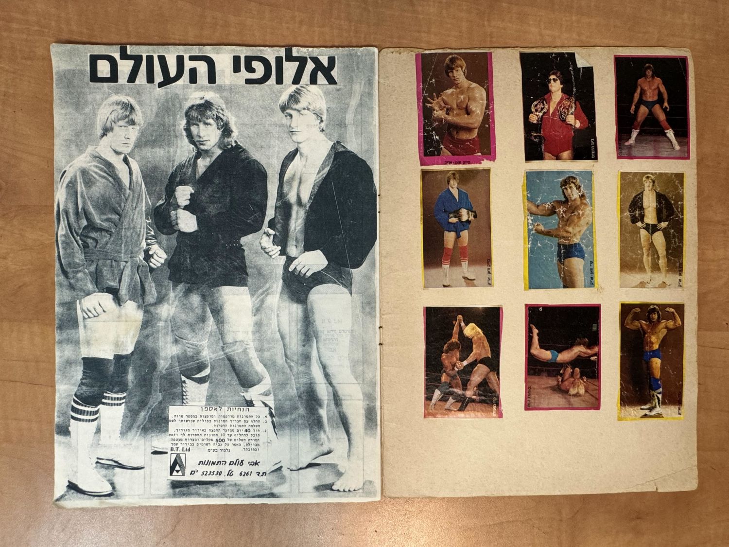 אלבומי מדבוקת - אלבום מדבקות "ואן אריק אלבום אלופי העולם", כמעט מלא (196/200), מצב בינוני- טוב - אלבום לא ... - 1 3