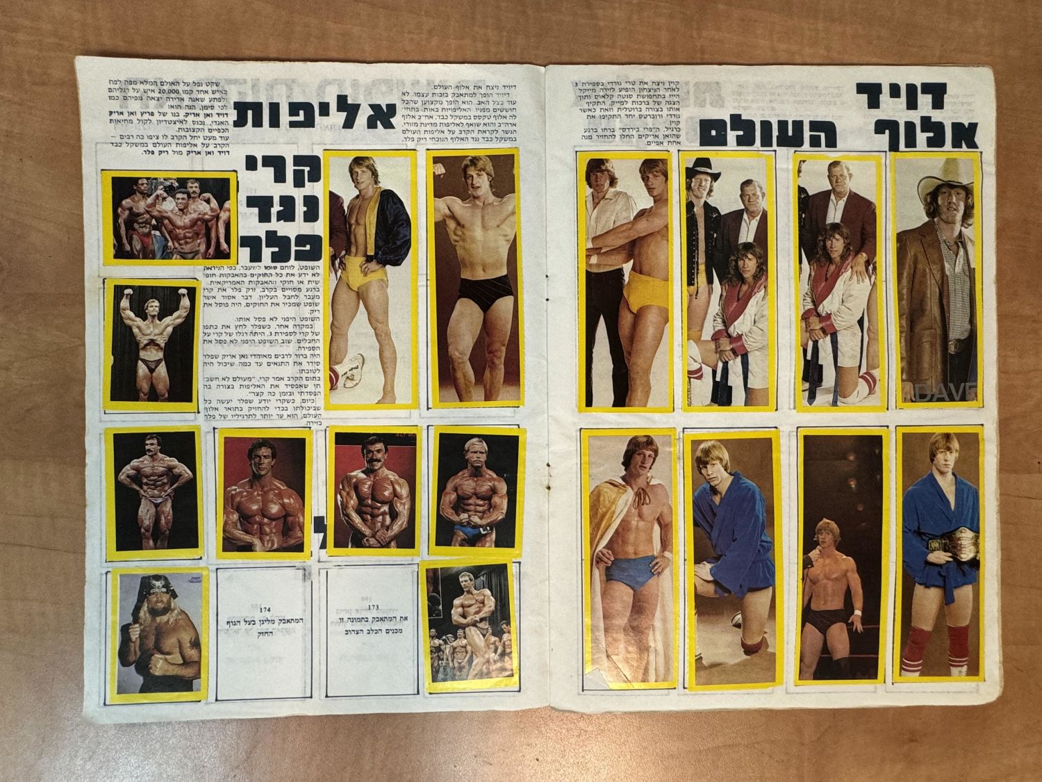 אלבומי מדבוקת - אלבום מדבקות "ואן אריק אלבום אלופי העולם", כמעט מלא (196/200), מצב בינוני- טוב - אלבום לא ... - 1 9
