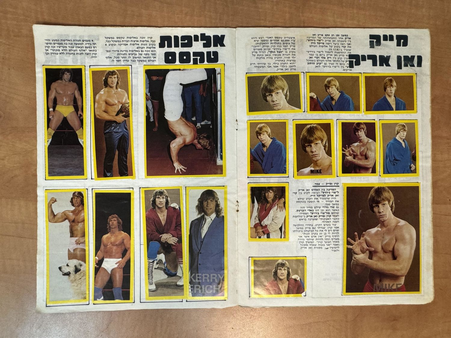 אלבומי מדבוקת - אלבום מדבקות "ואן אריק אלבום אלופי העולם", כמעט מלא (196/200), מצב בינוני- טוב - אלבום לא ... - 1 8