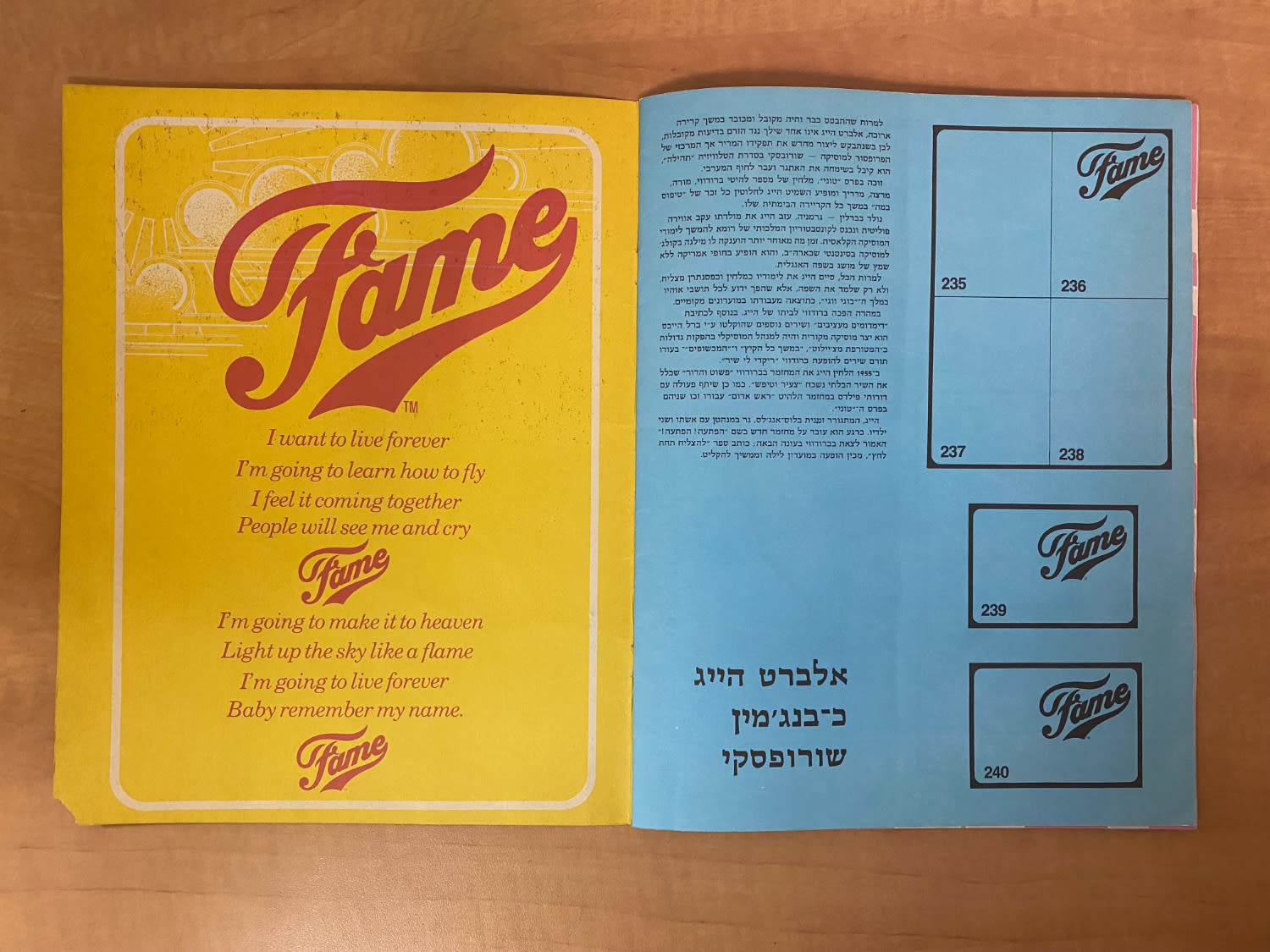 אלבומי מדבקות - אלבום קלפים של סדרת הטלויזיה "תהילה" 1983 - כמעט ריק, גזור באחד העמודים - עברית - נדיר - 1 9