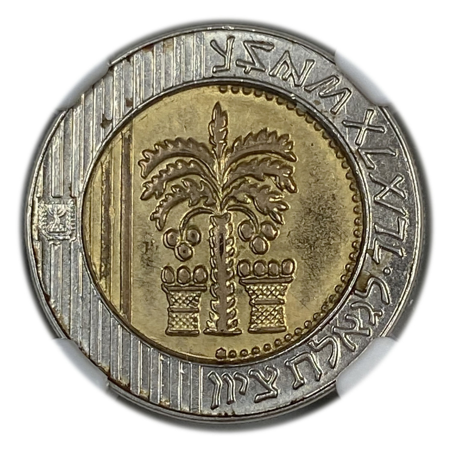 Israel - 10 Sheqels 1995 - With a Star - NGC MS 62
Several decades ago, about 25 years ago, about ... - 1 0
