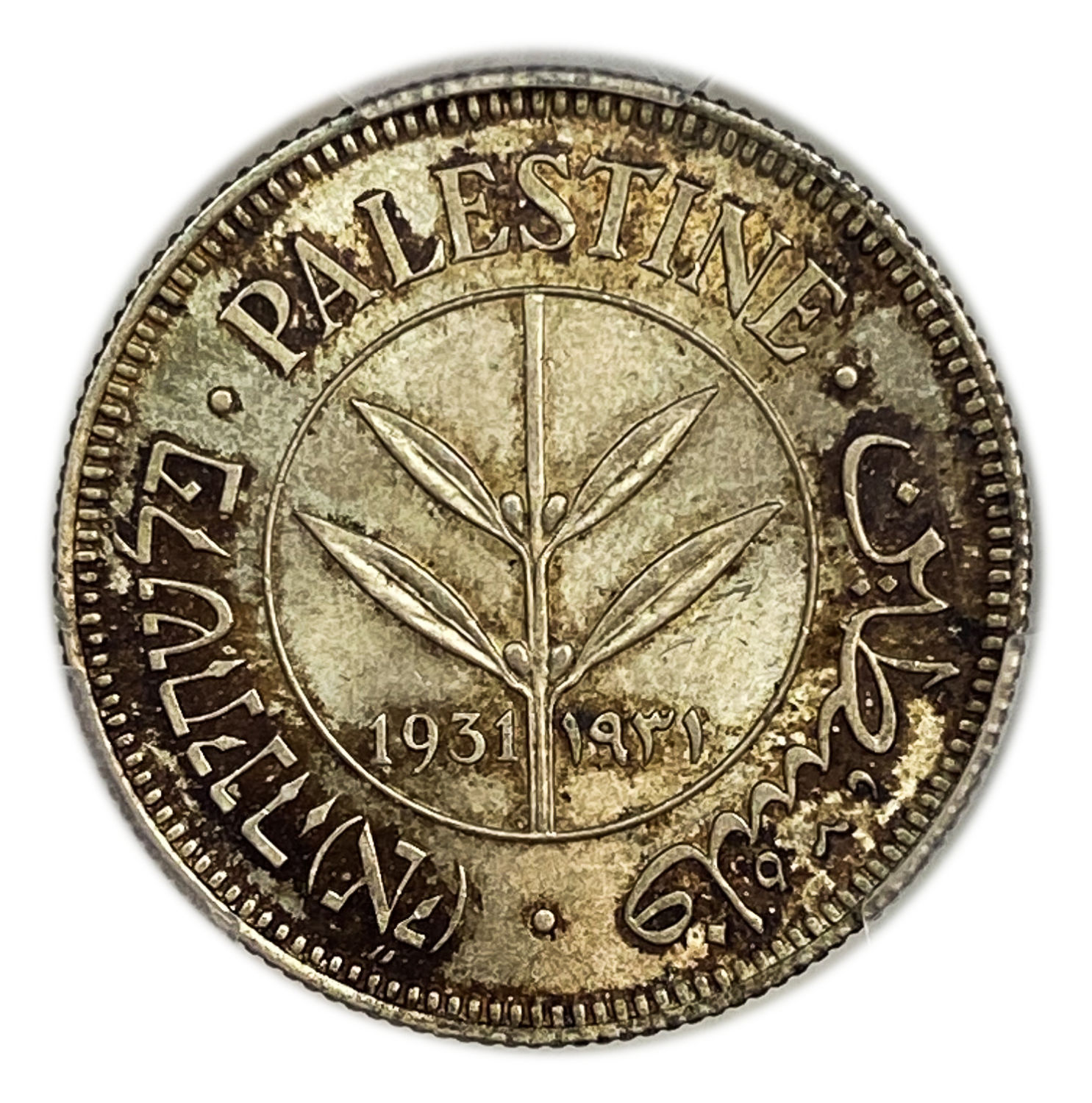 Palestine - 50 Mils 1931 - PCGS MS64 - Only one coin from this year in the world is graded above this grad - ... - 1 0