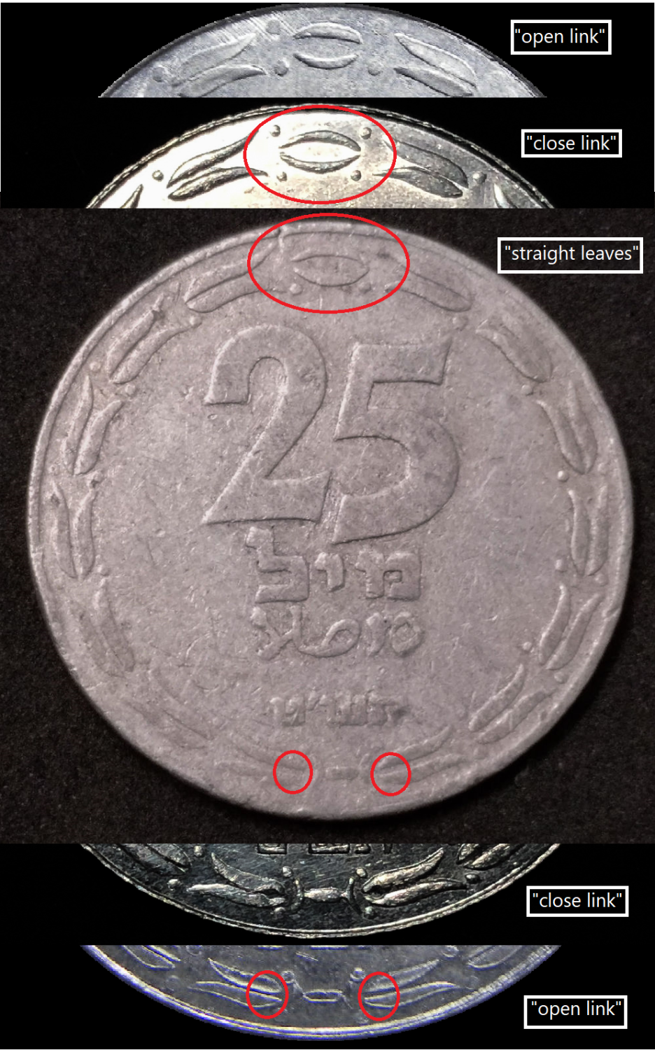 Israel - 25 mil 1949 - Stright leaves. - 1 2