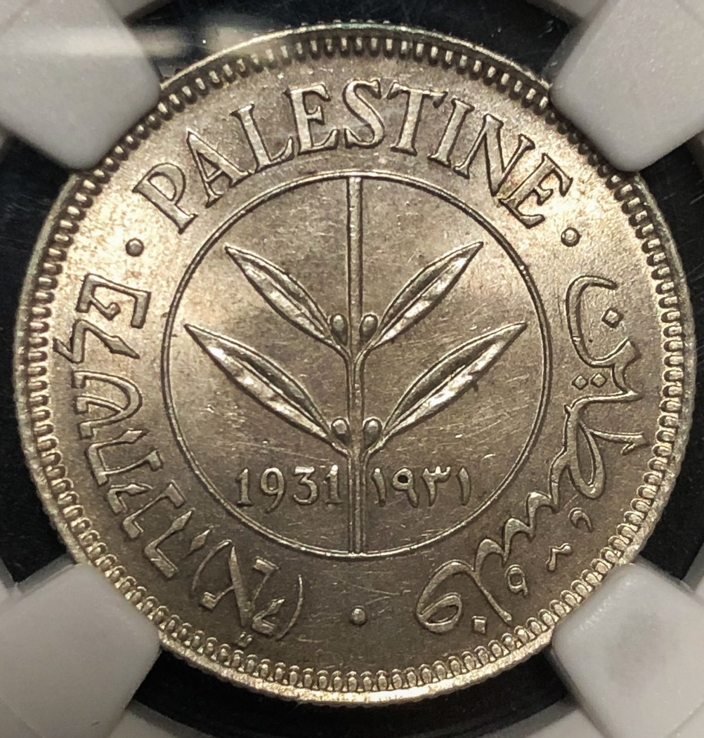 Palestine - 50 mils 1931 - MS62 - 1 0