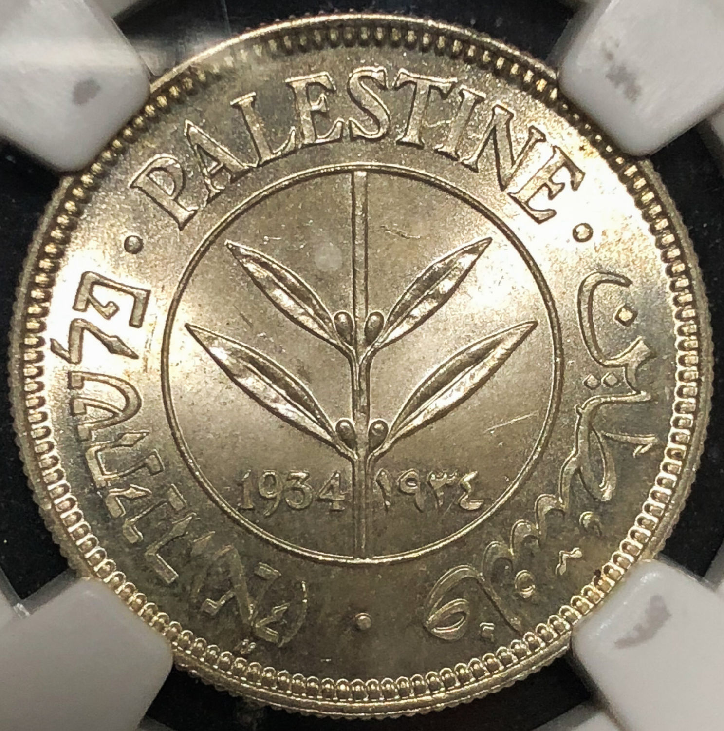 Palestine - 50 mils 1934 - MS64. - 1 0