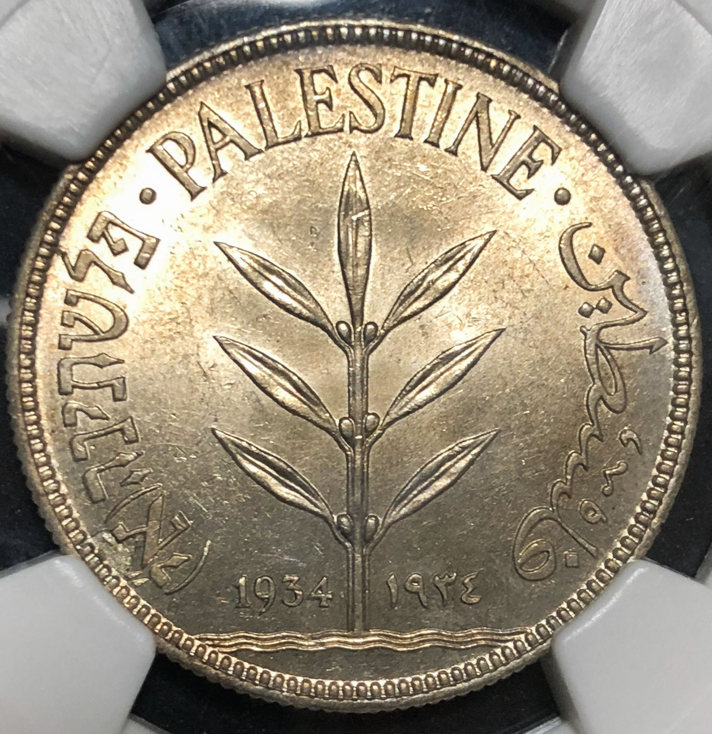 Palestine - 100 mils 1934 - MS62. - 1 0