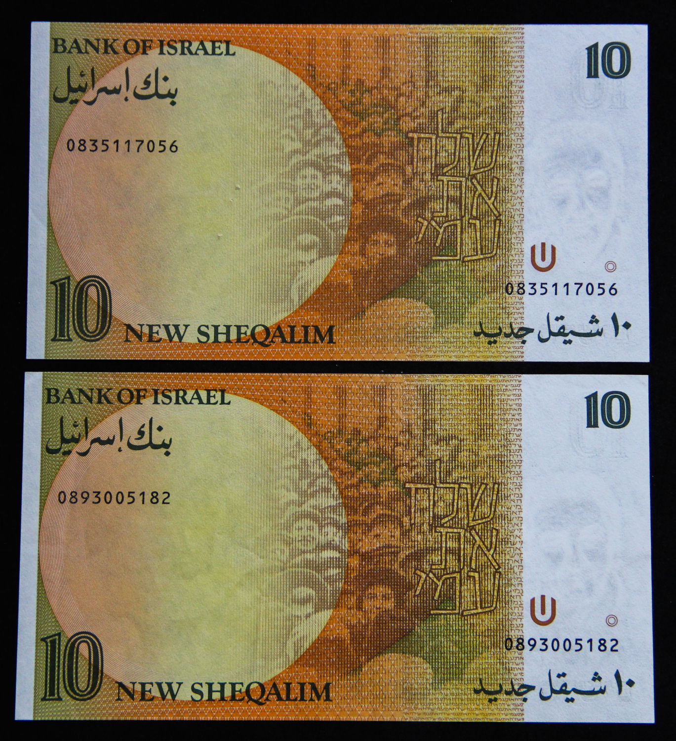 Israel - 10 Shekel 1992. - 1 1