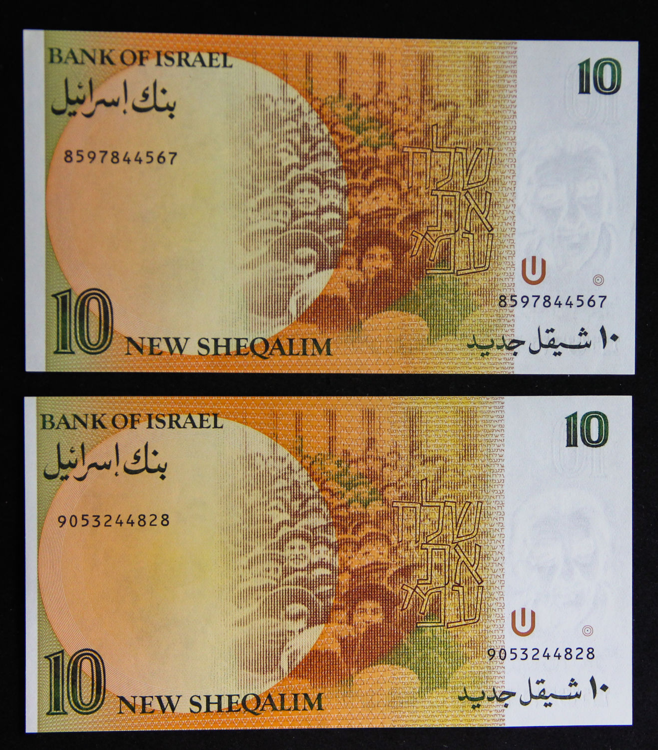 Israel - 10 Shekel 1985. - 1 1