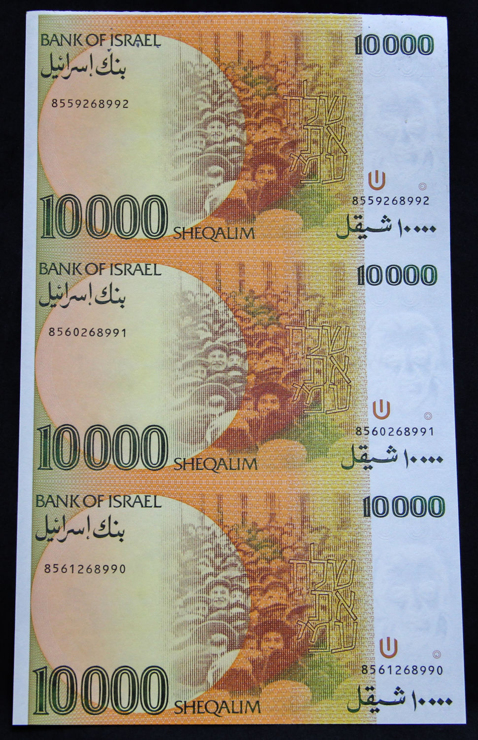 Israel - Uncut sheet - 10,000 Shekel 1984. - 1 4