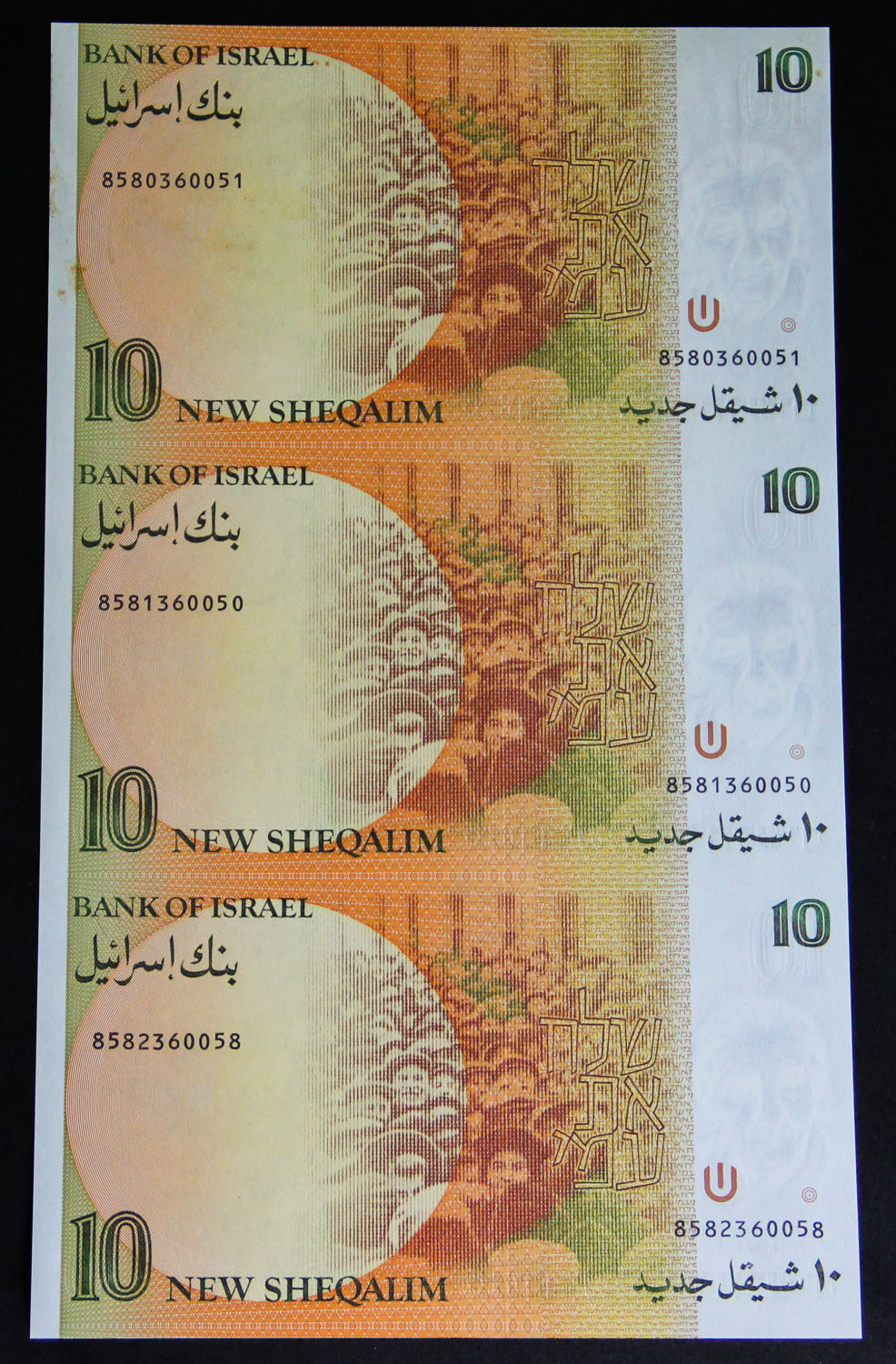 Israel - Uncut sheet -10 shekel 1985. - 1 4