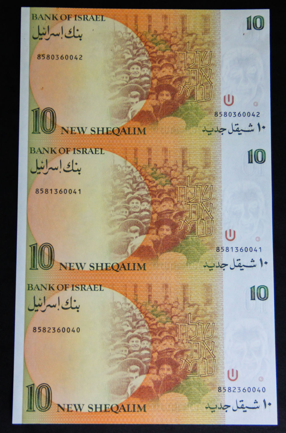 Israel - Uncut sheet -10 shekel 1985. - 1 2