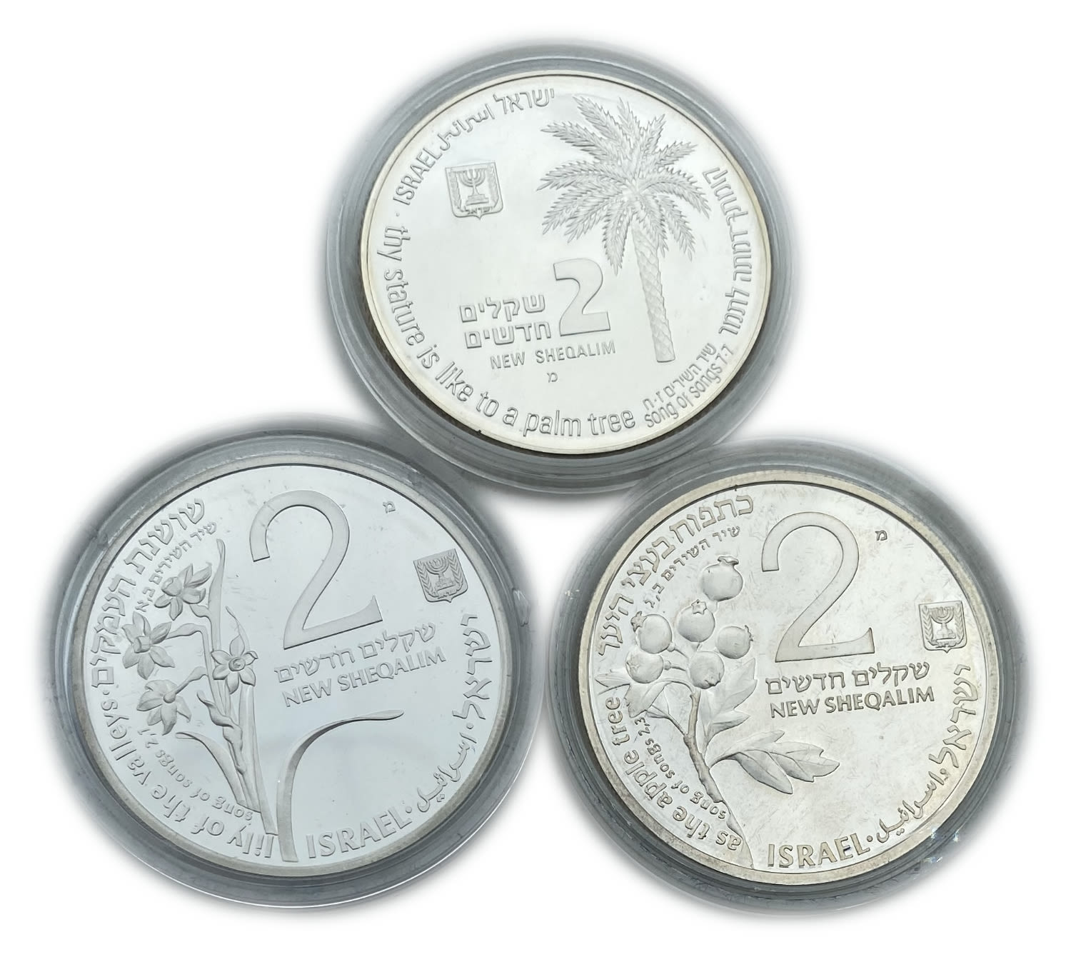 Israel - Lot of 3 coins 2 shekels 1992, 1993, 1994 - on the subject of the Song of the Songs "To Ofer the Rams" ... - 1 0