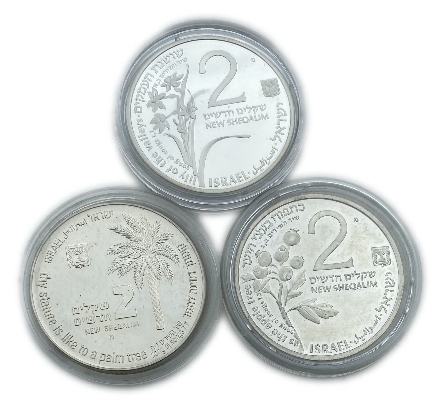 Israel - Lot of 3 coins 2 shekels 1992, 1993, 1994 - on the subject of the Song of the Songs "To Ofer the Rams" ... - 1 0