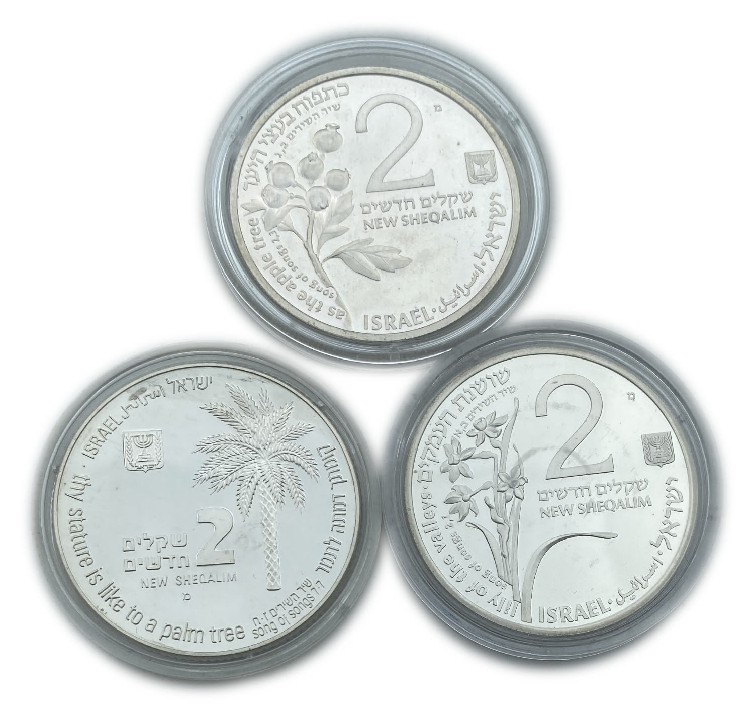 Israel - Lot of 3 coins 2 shekels 1992, 1993, 1994 - on the subject of the Song of the Songs "To Ofer the Rams" ... - 1 0