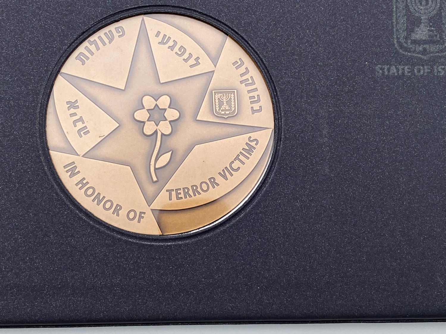 Israel - a group of 4 medals in hard and luxurious folders - different subjects - bronze and copper nickel - 1 7