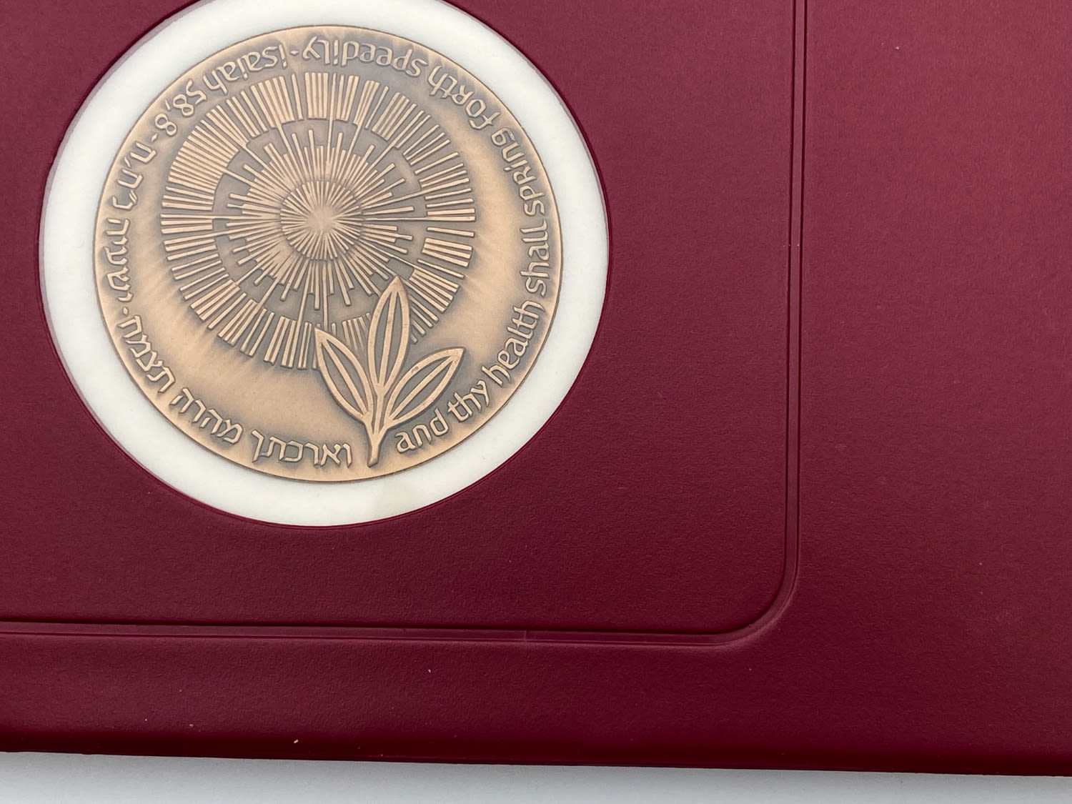 Israel - a group of 4 medals in hard and luxurious folders - different subjects - bronze and copper nickel - 1 6