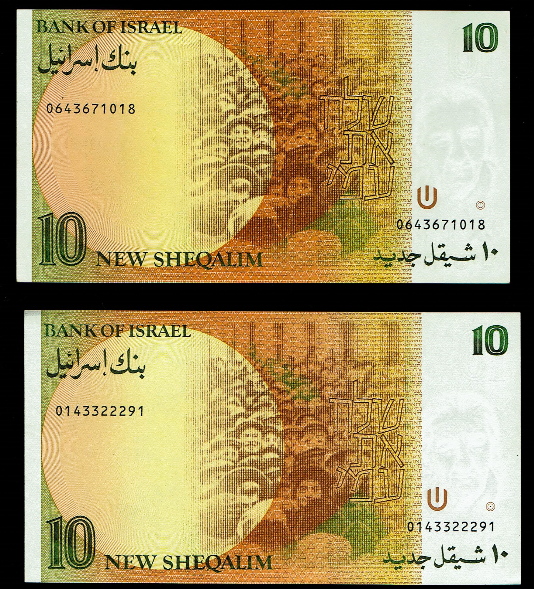 Israel - Set of 10 10 Shekel Banknotes 1985, 1987 - Pick# 53a, 53b - Uncirculated - 1 1
