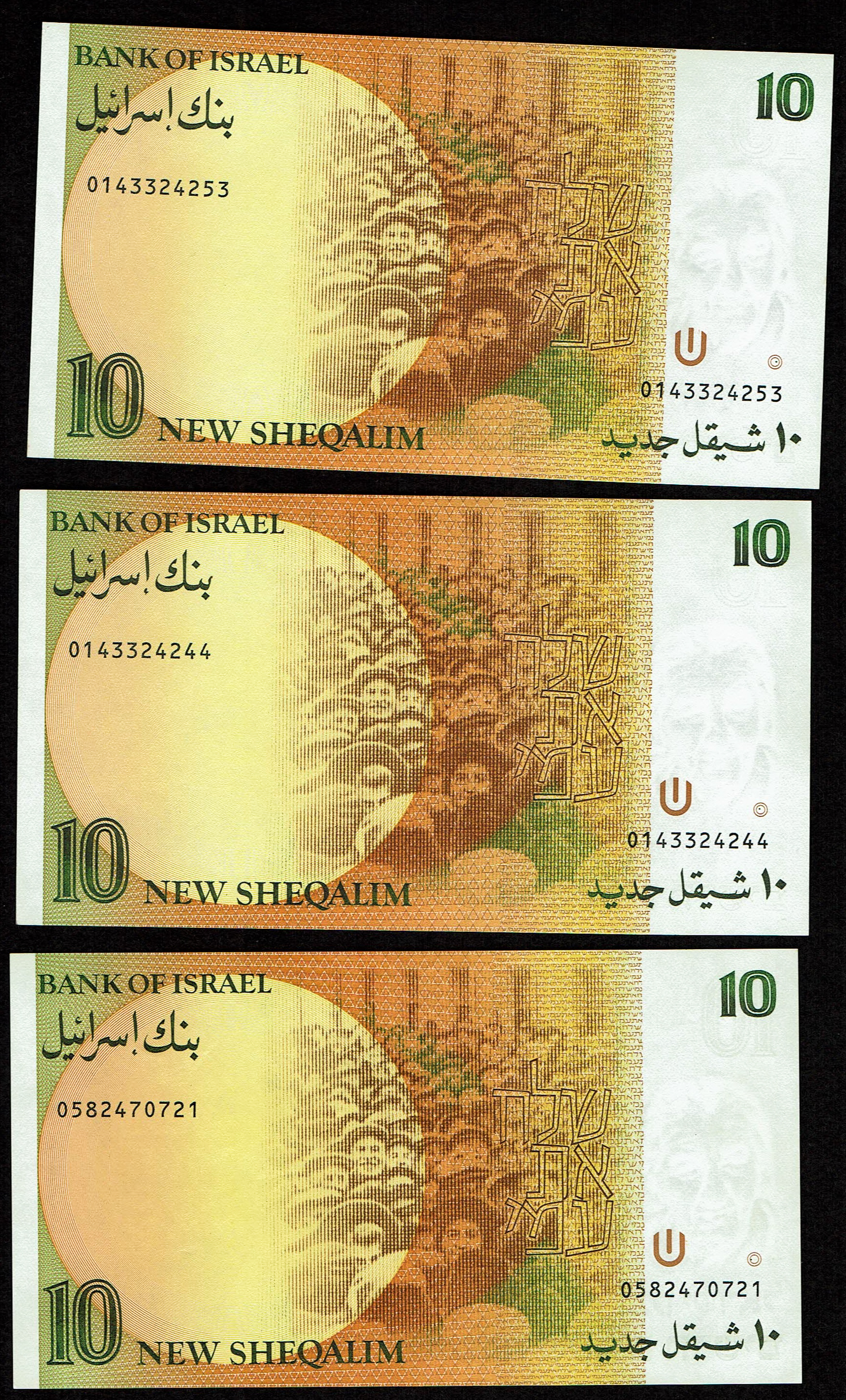 Israel - Set of 10 10 Shekel Banknotes 1985, 1987 - Pick# 53a, 53b - Uncirculated - 1 4