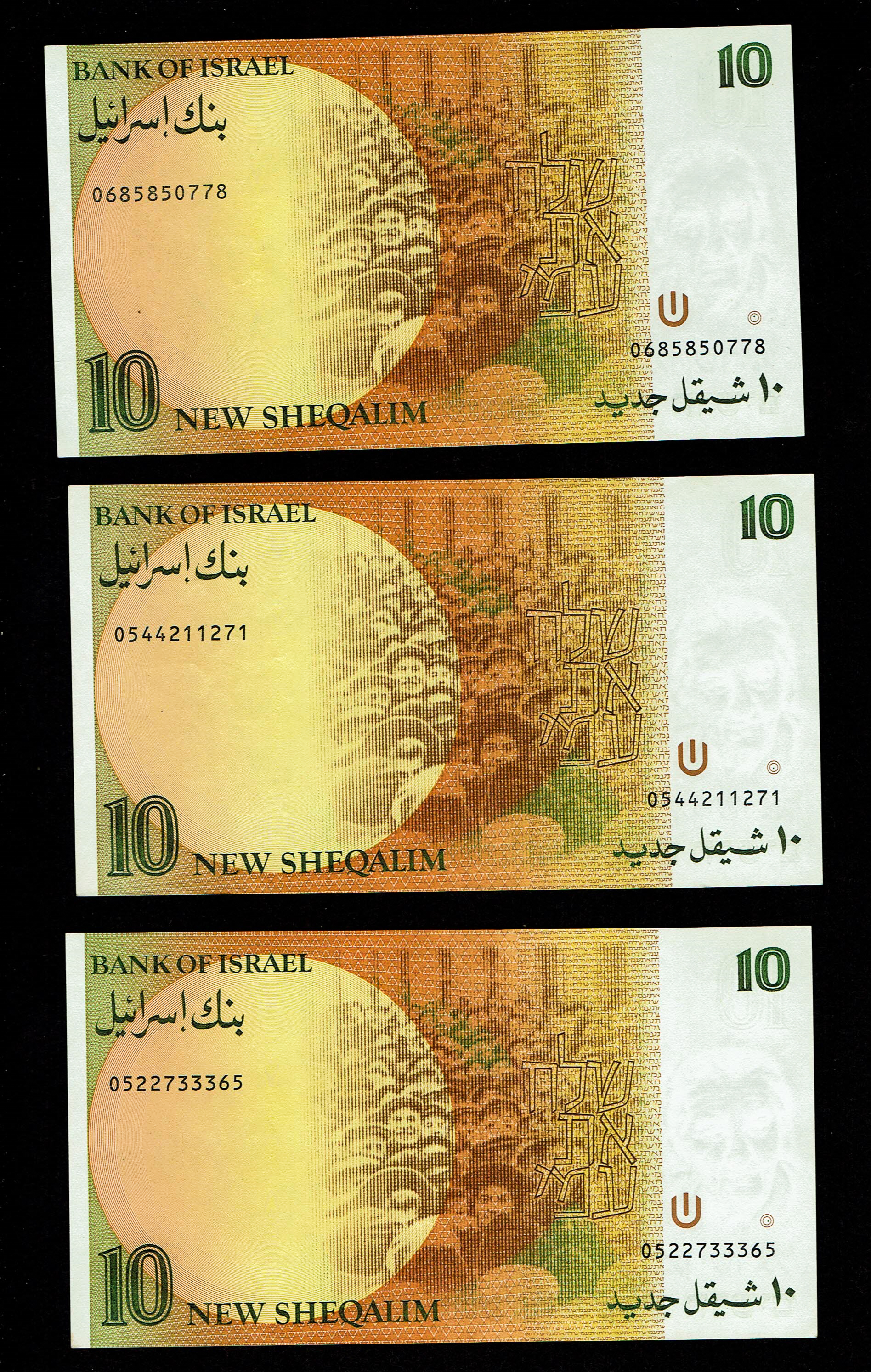 Israel - Set of 10 10 Shekel Banknotes 1985, 1987 - Pick# 53a, 53b - Uncirculated - 1 6