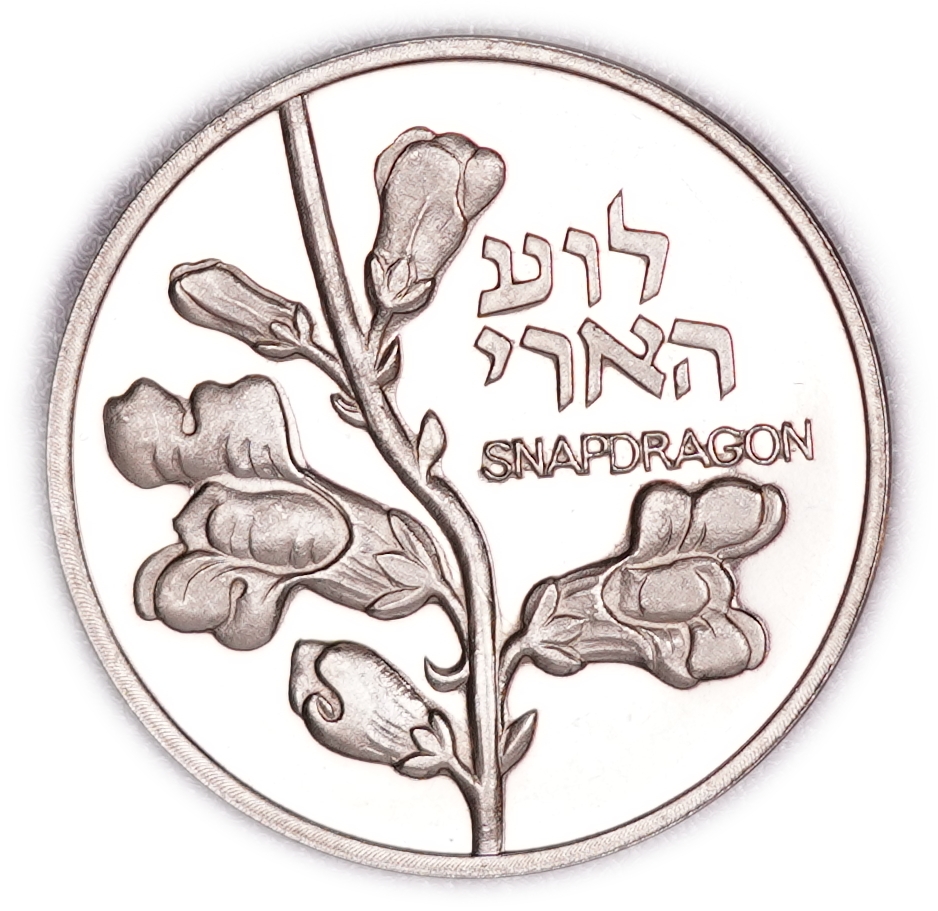 Israel - Group of 25 Medals by the Israel Coins and Medals Corporation and Others - Bronze, Various Metals and ... - 1 2