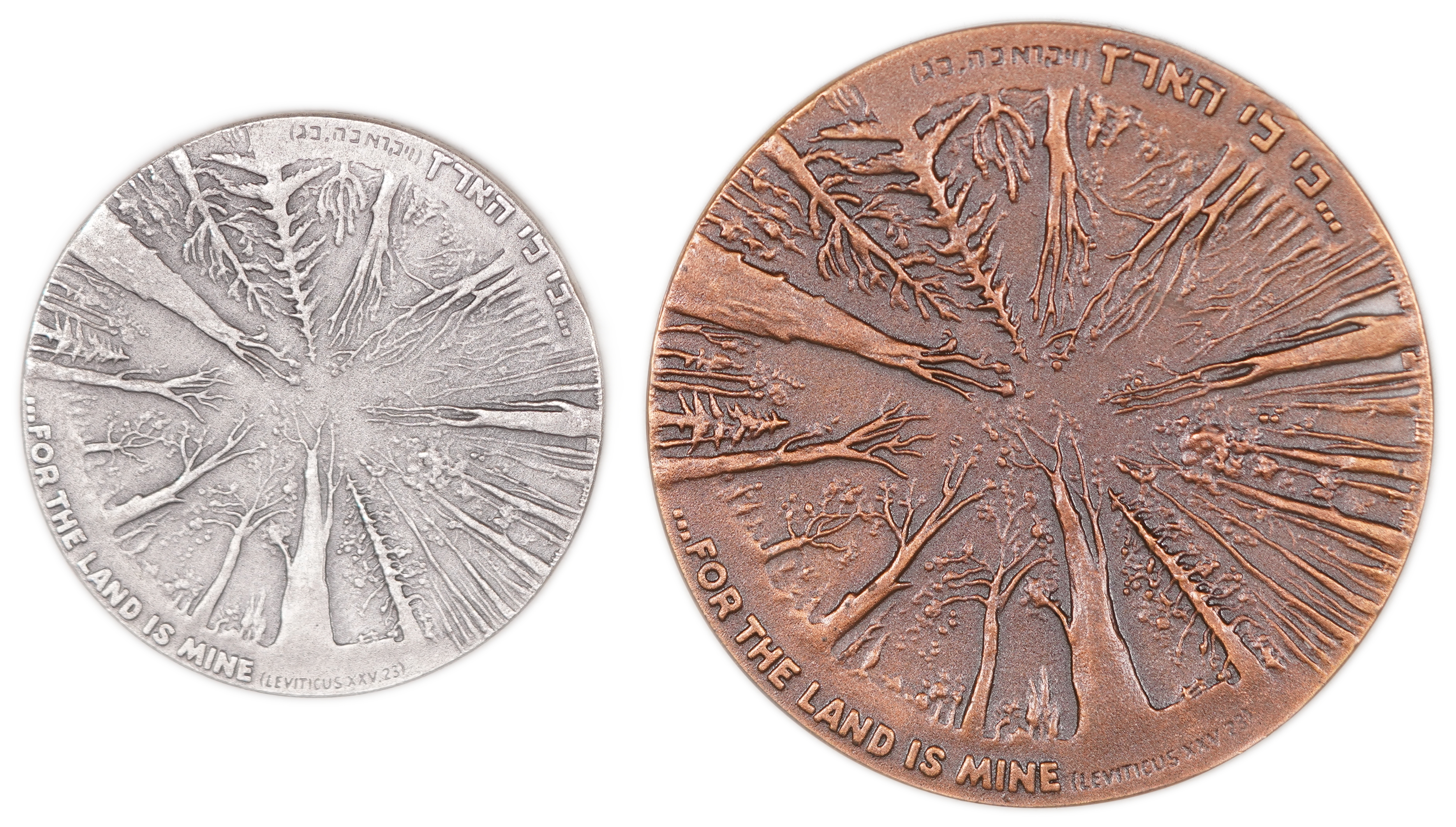 Israel - Pair of “70 Years of the Jewish National Fund” Medals, 1971 - Silver 935 and Bronze, Silver Medal 47 g ... - 1 1