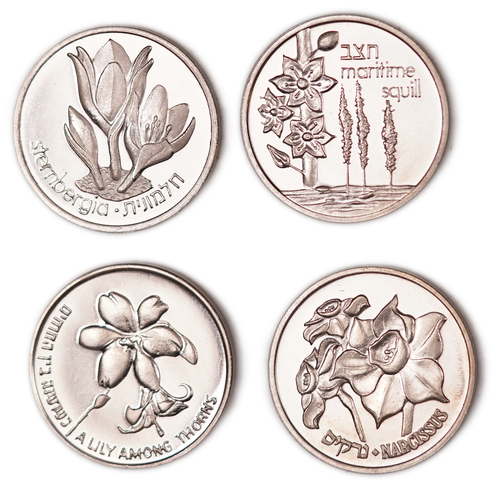 Israel - Lot of 12 Copper-Nickel Medals from the Flora and Fauna of Israel Series - Issued by the Israel Coins and ... - 1 3