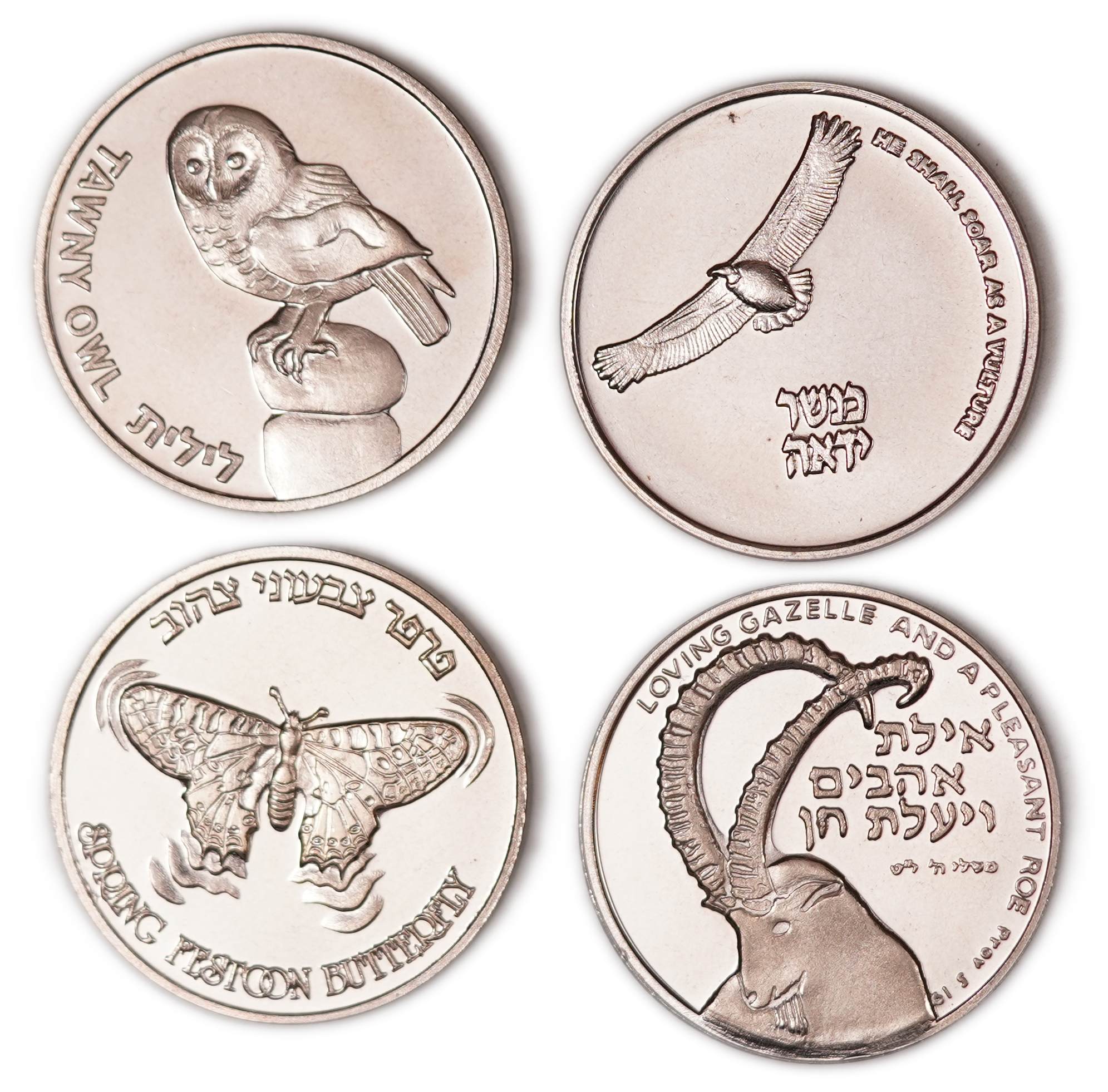 Israel - Lot of 12 Copper-Nickel Medals from the Flora and Fauna of Israel Series - Issued by the Israel Coins and ... - 1 6