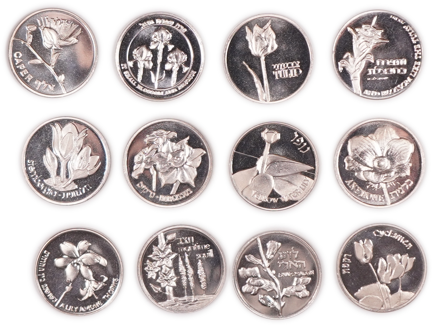 Israel - Lot of 12 Copper-Nickel Medals from the Flora and Fauna of Israel Series - Issued by the Israel Coins and ... - 1 1