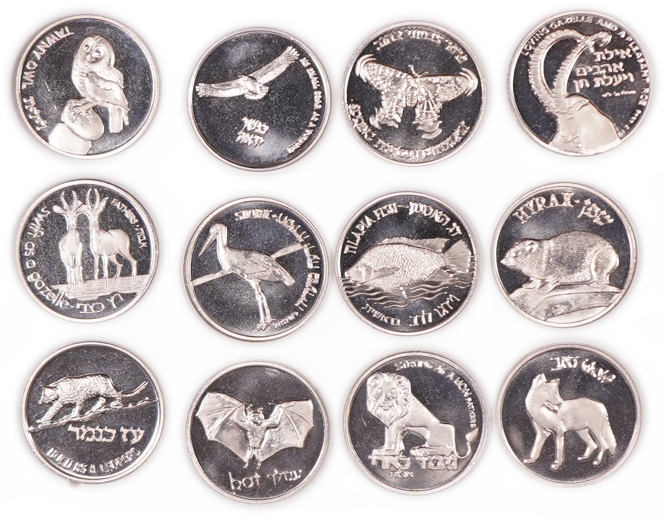 Israel - Lot of 12 Copper-Nickel Medals from the Flora and Fauna of Israel Series - Issued by the Israel Coins and ... - 1 0
