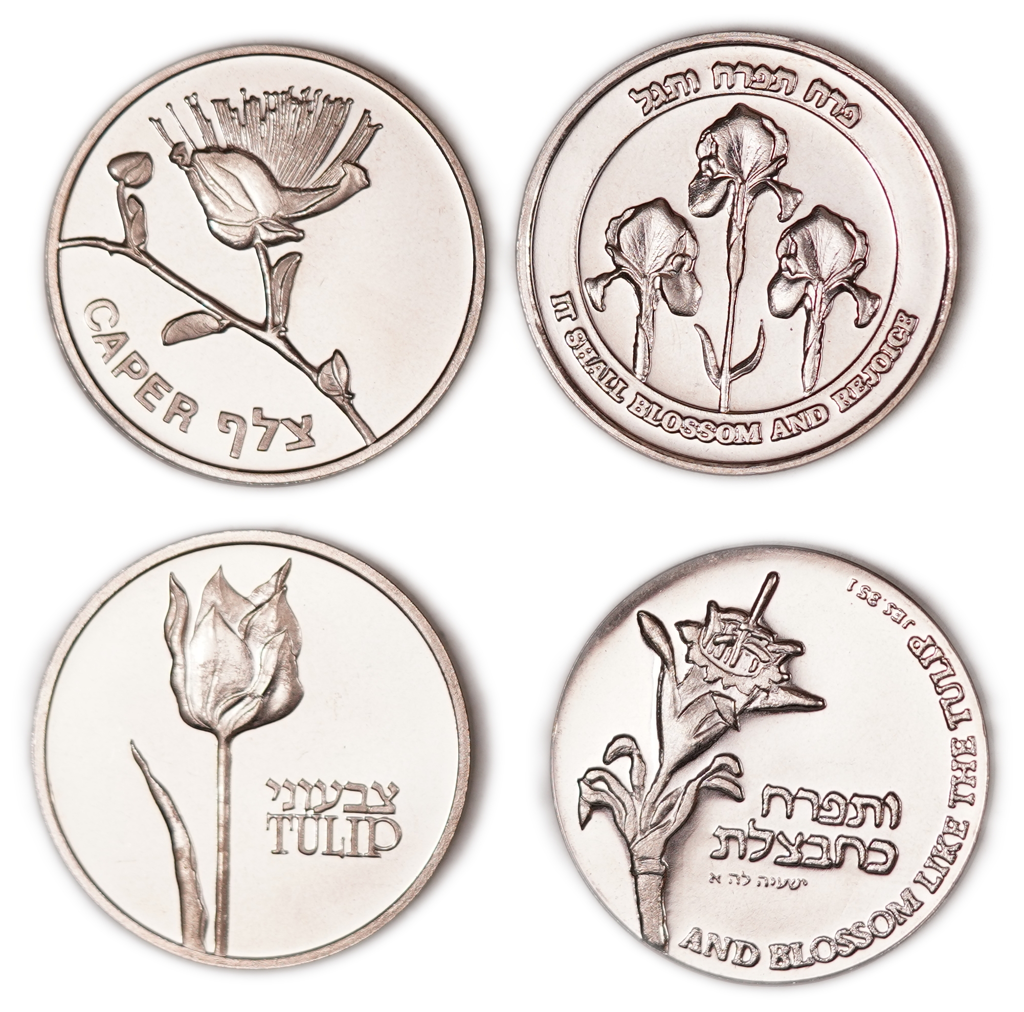 Israel - Lot of 12 Copper-Nickel Medals from the Flora and Fauna of Israel Series - Issued by the Israel Coins and ... - 1 7