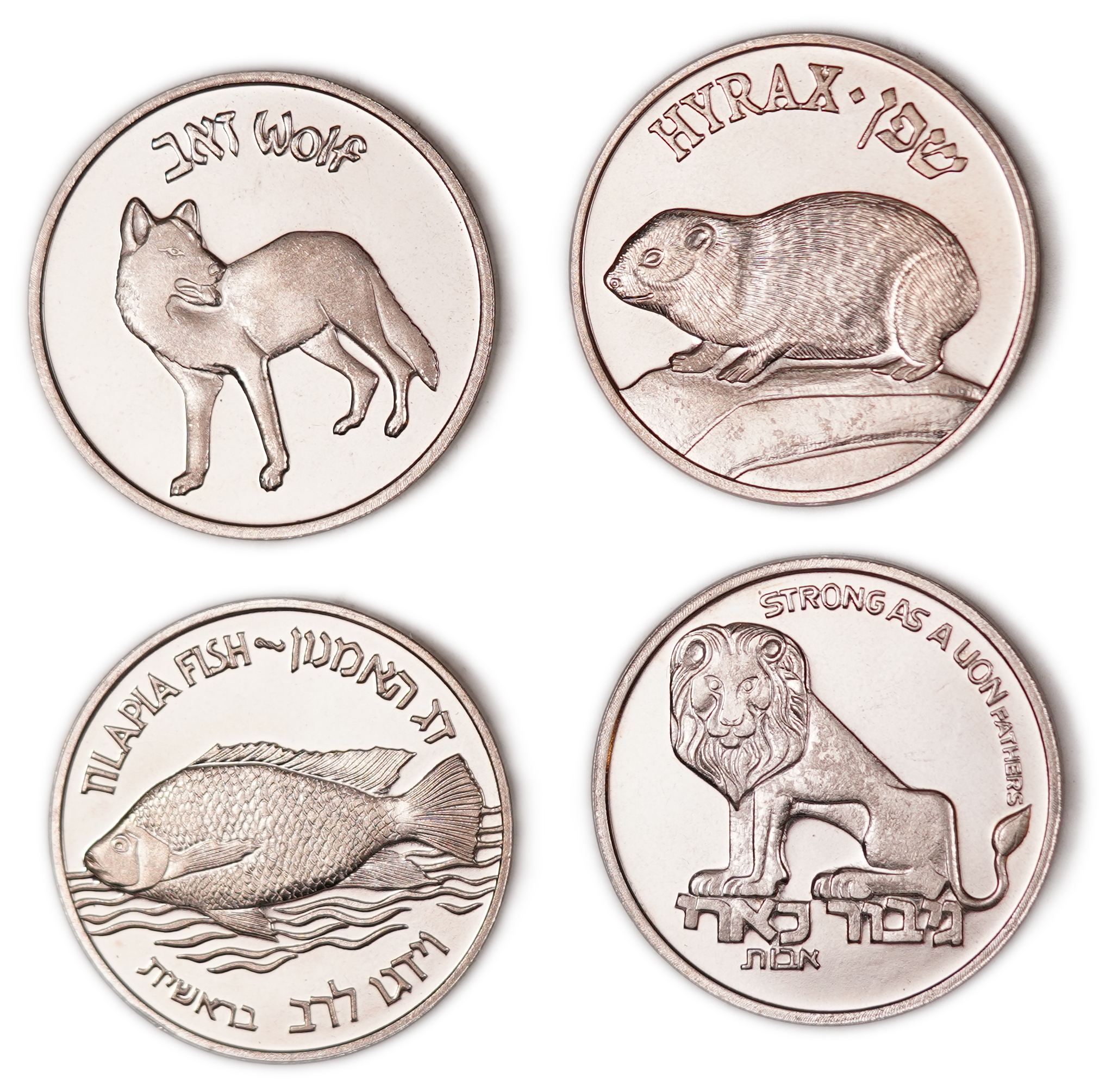 Israel - Lot of 12 Copper-Nickel Medals from the Flora and Fauna of Israel Series - Issued by the Israel Coins and ... - 1 4