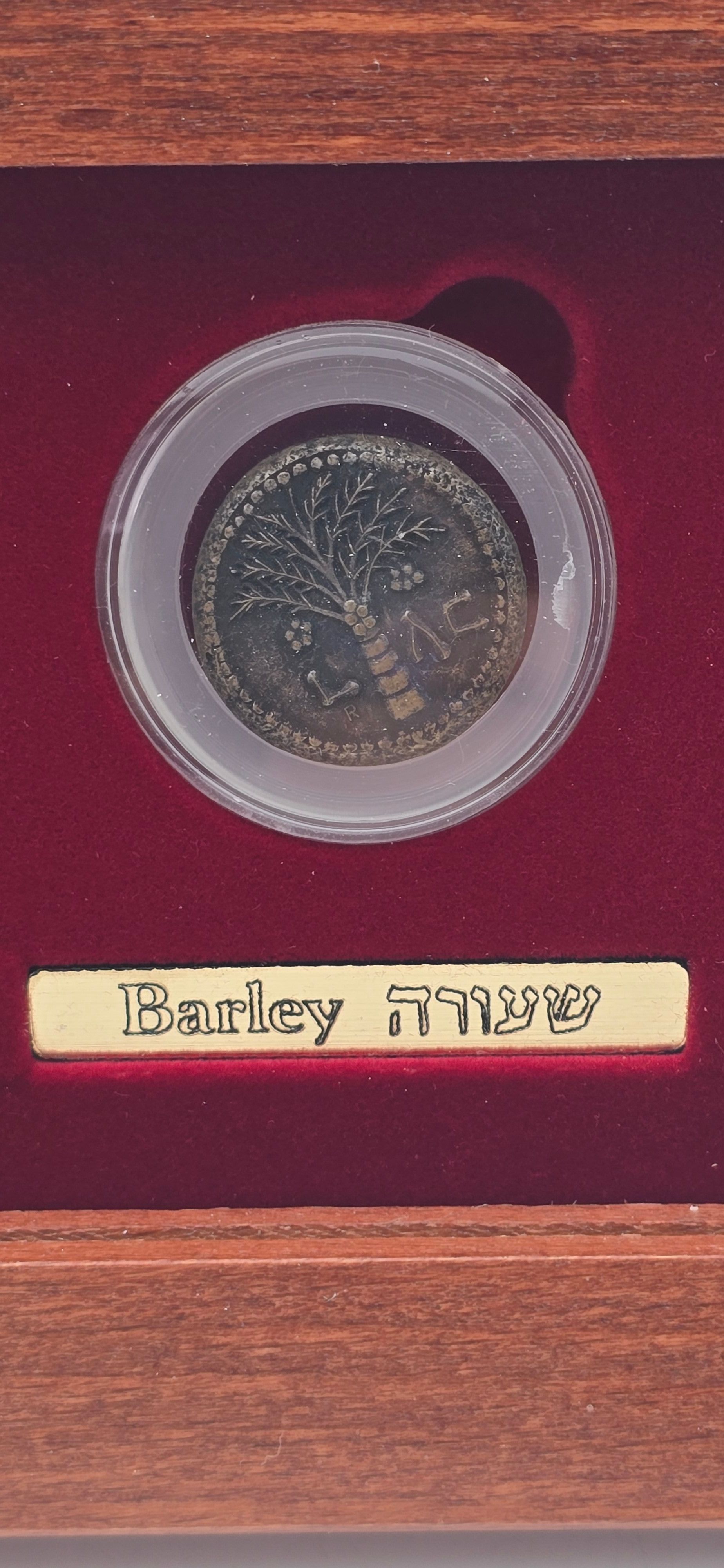 Israel - The Seven Species 2006 - Set of 7 Ancient Jewish Coin Replicas - 2 Pure Silver and 5 Bronze, 27mm Each - 1 7