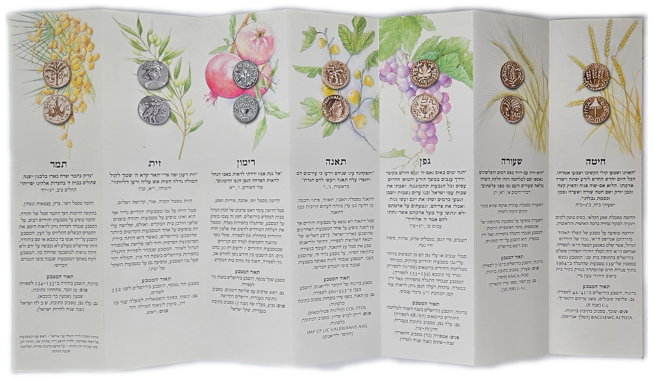 Israel - The Seven Species 2006 - Set of 7 Ancient Jewish Coin Replicas - 2 Pure Silver and 5 Bronze, 27mm Each - 1 9