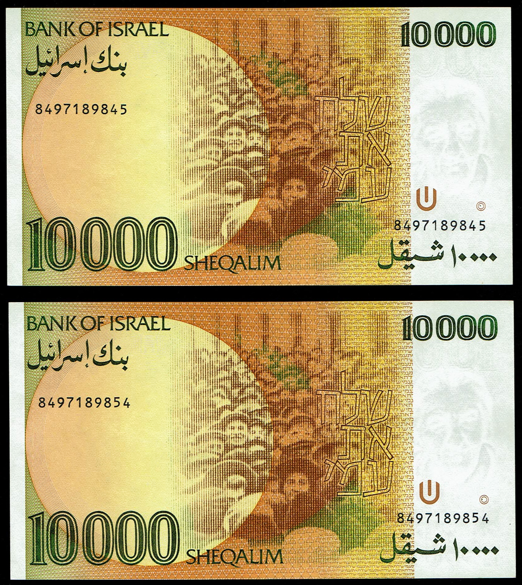 Israel - Pair of 10000 Sheqalim Banknotes 1984 - KM# 53 - Consecutive Serial Numbers - Uncirculated - 1 1