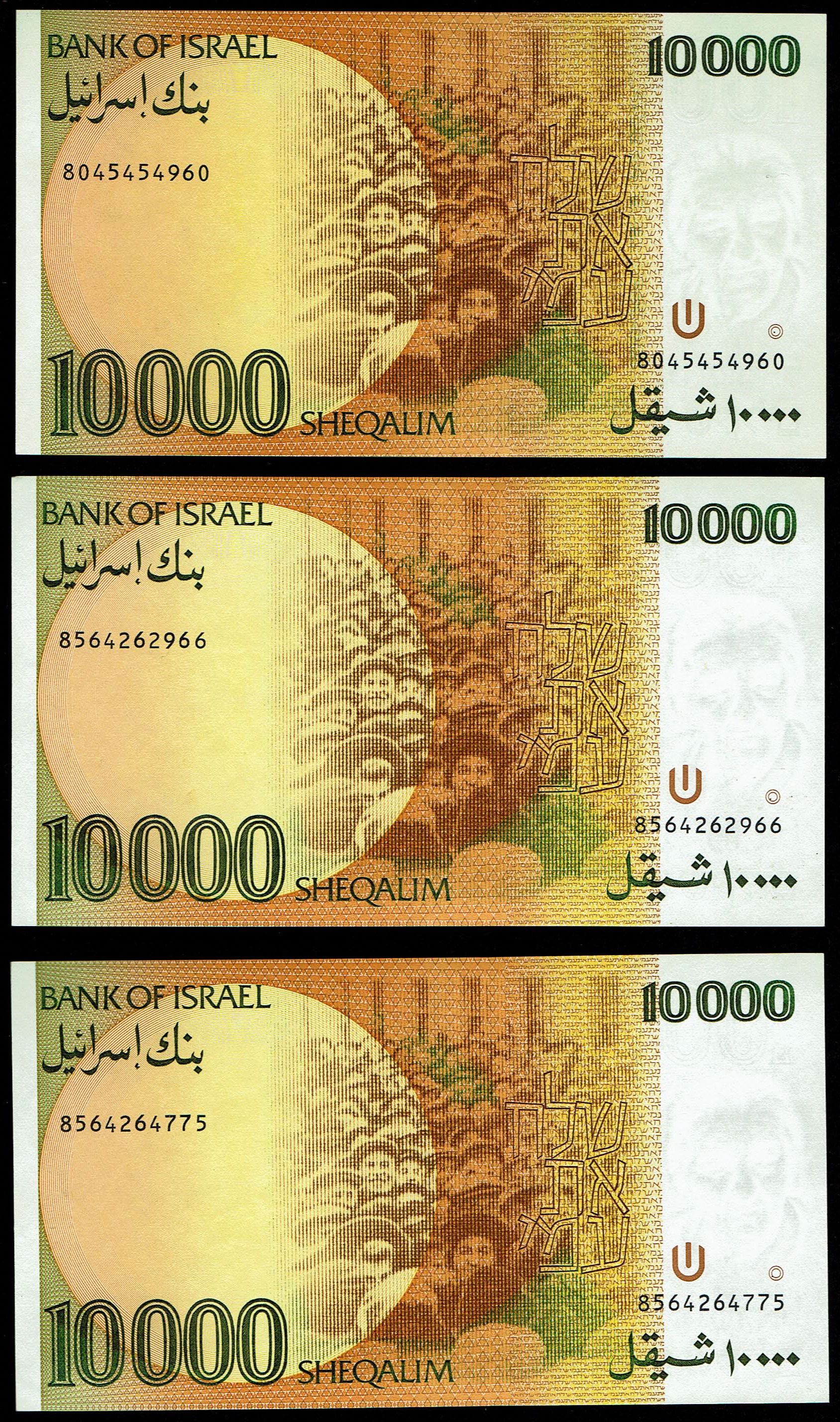 Israel - 3 of 10000 Sheqalim Banknote Lot 1984 - KM# 53 - Uncirculated - 1 1