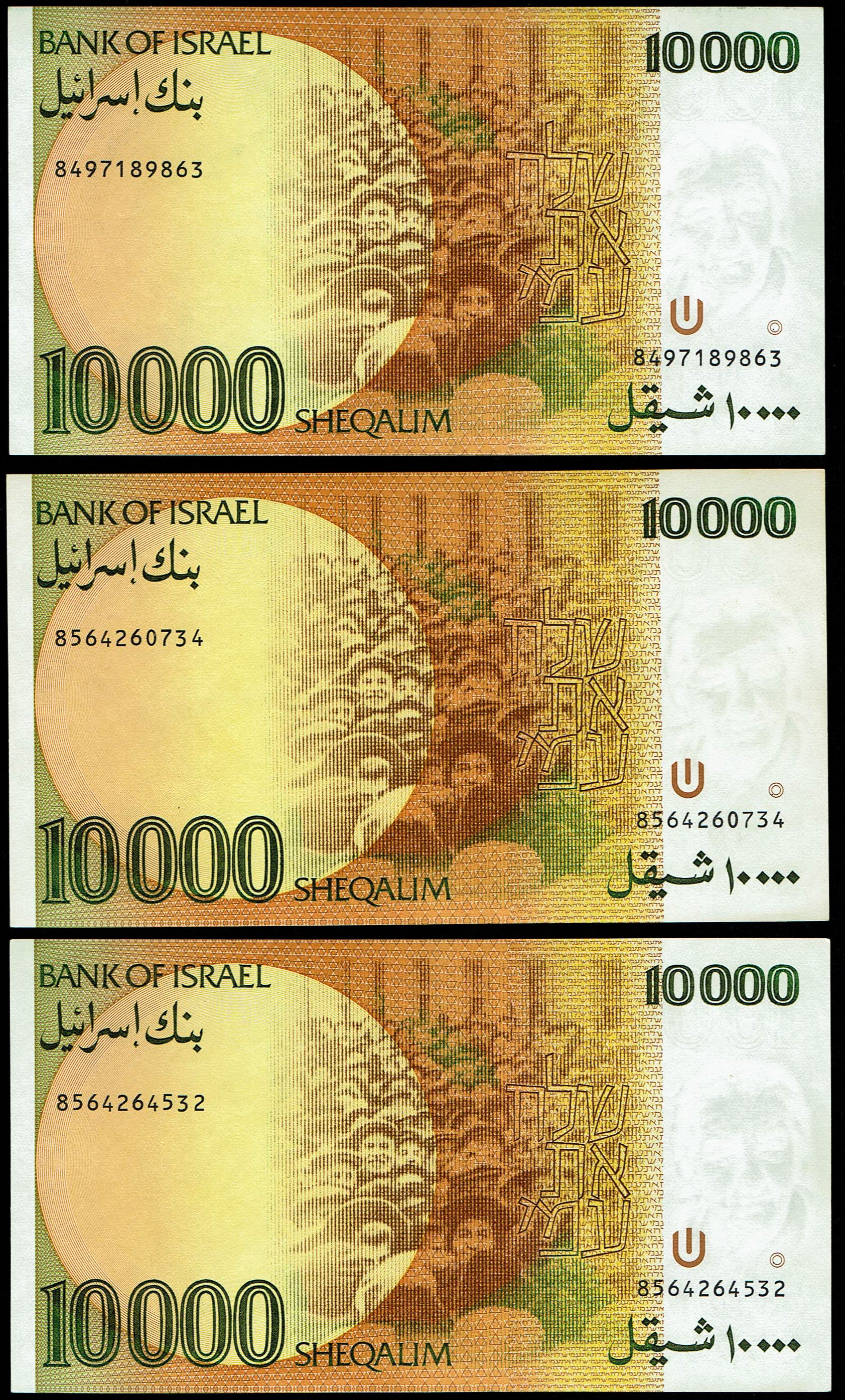 Israel - 6 of 10000 Sheqalim Banknote Lot 1984 - KM# 53 - Extremely Fine-About Uncirculated - 1 5