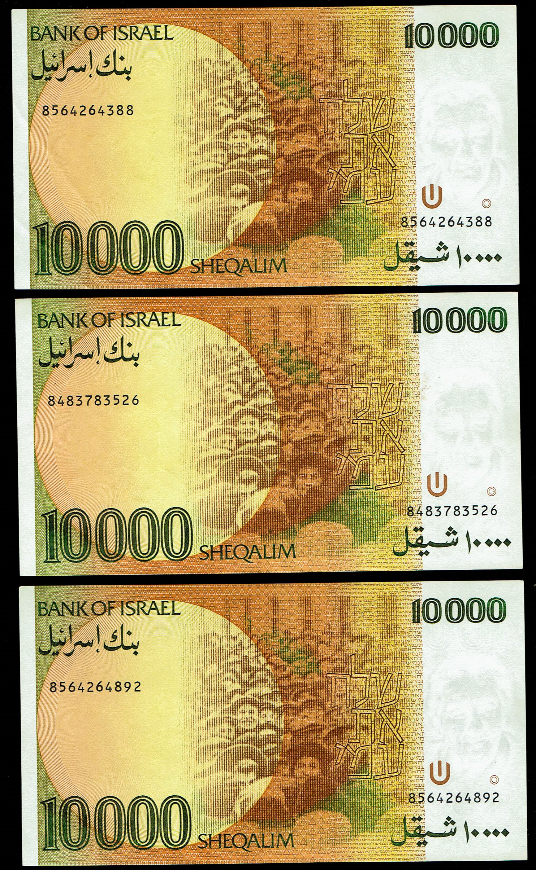 Israel - 6 of 10000 Sheqalim Banknote Lot 1984 - KM# 53 - Extremely Fine-About Uncirculated - 1 3