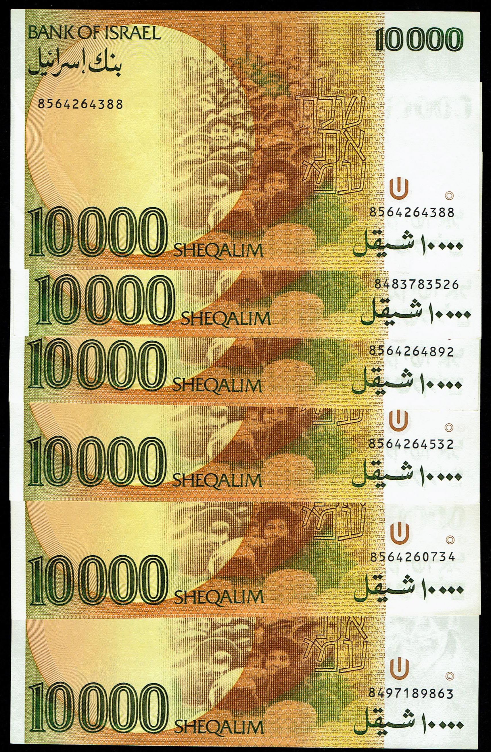 Israel - 6 of 10000 Sheqalim Banknote Lot 1984 - KM# 53 - Extremely Fine-About Uncirculated - 1 1
