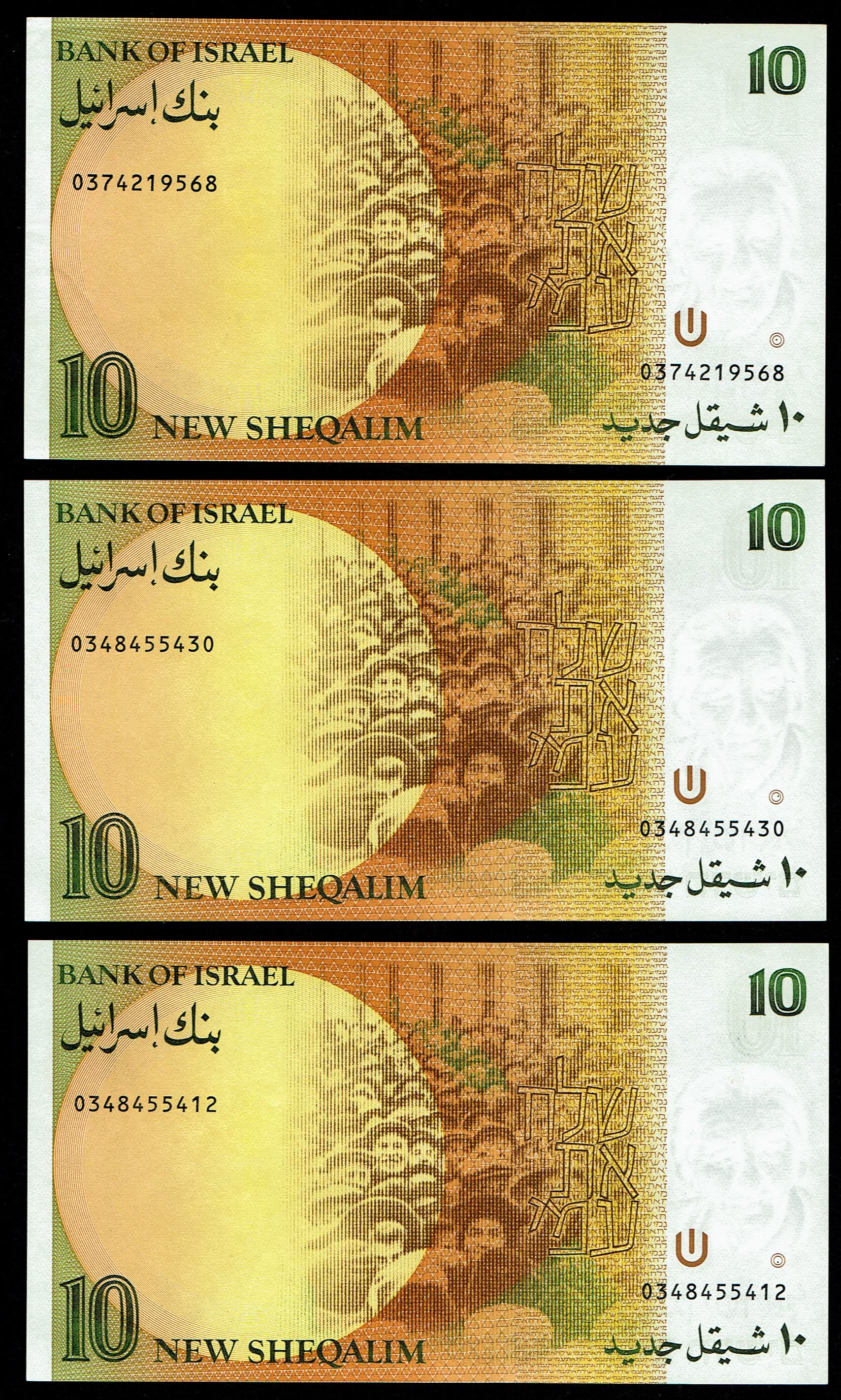 Israel - Lot of 7, 10 New Sheqalim Banknotes 1987 - Pick 53 - Uncirculated - 1 3