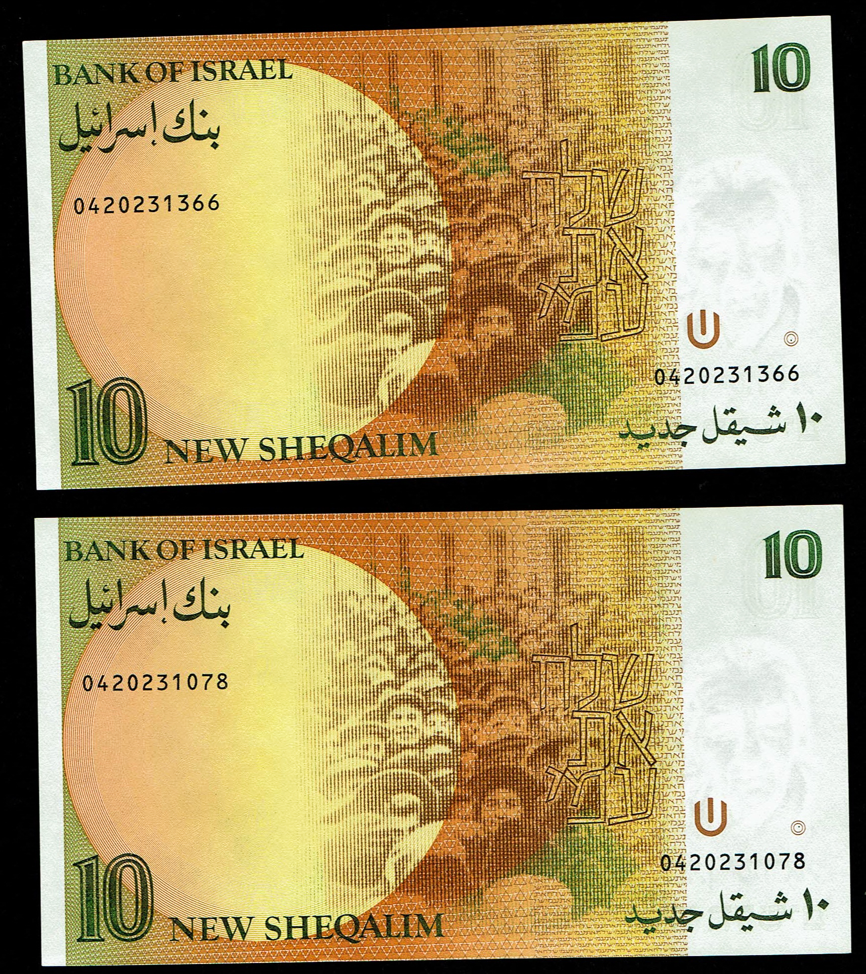 10 New Sheqalim 1985 (3 Notes)
10 New Sheqalim 1987 (3 Notes)
10 New Sheqalim 1992 (1 ... - 1 5