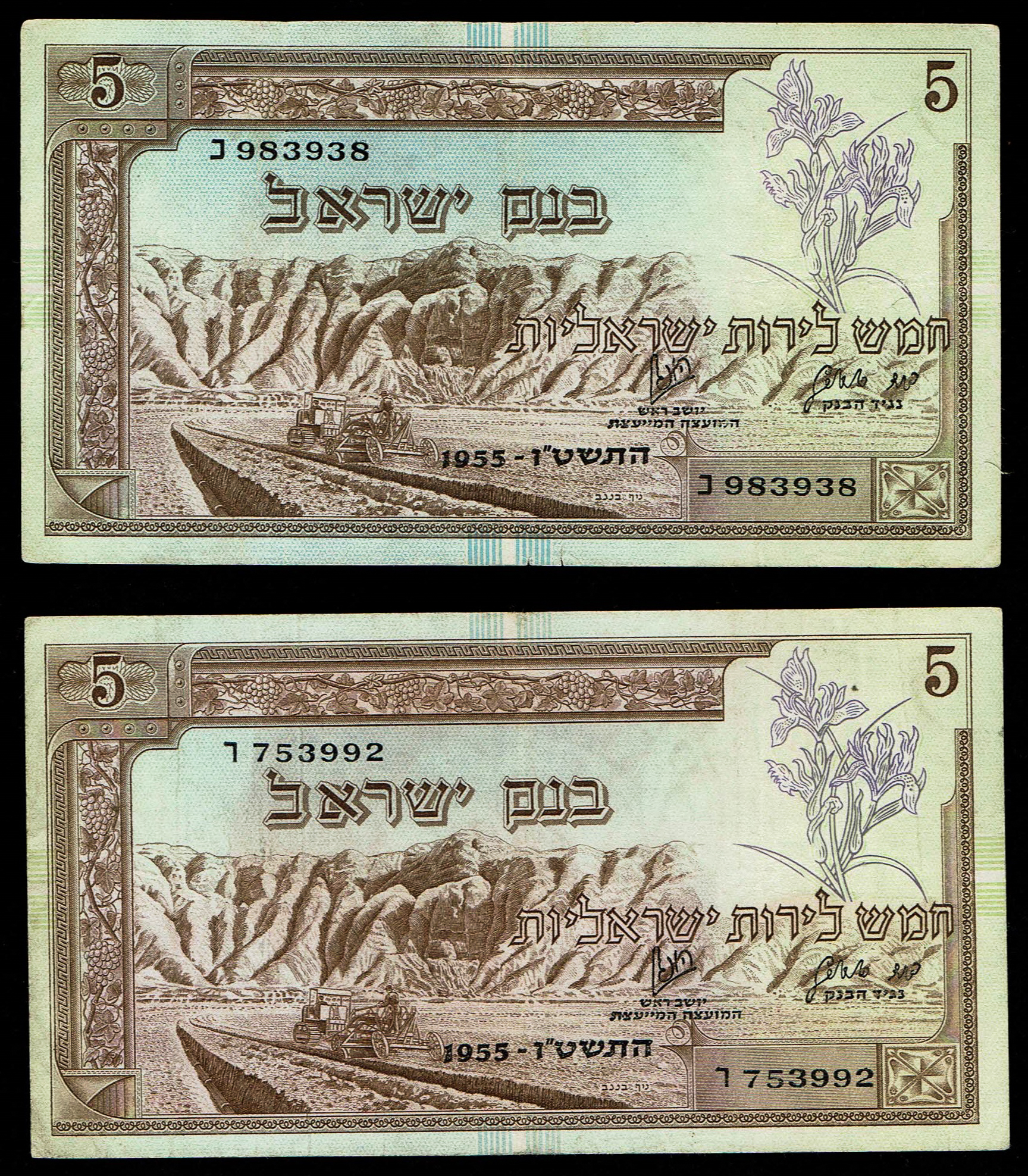 Israel - Lot of 5 Banknotes of 5 Pounds 1955 - Bank of Israel - Pick# 28a - Very Fine - 1 4